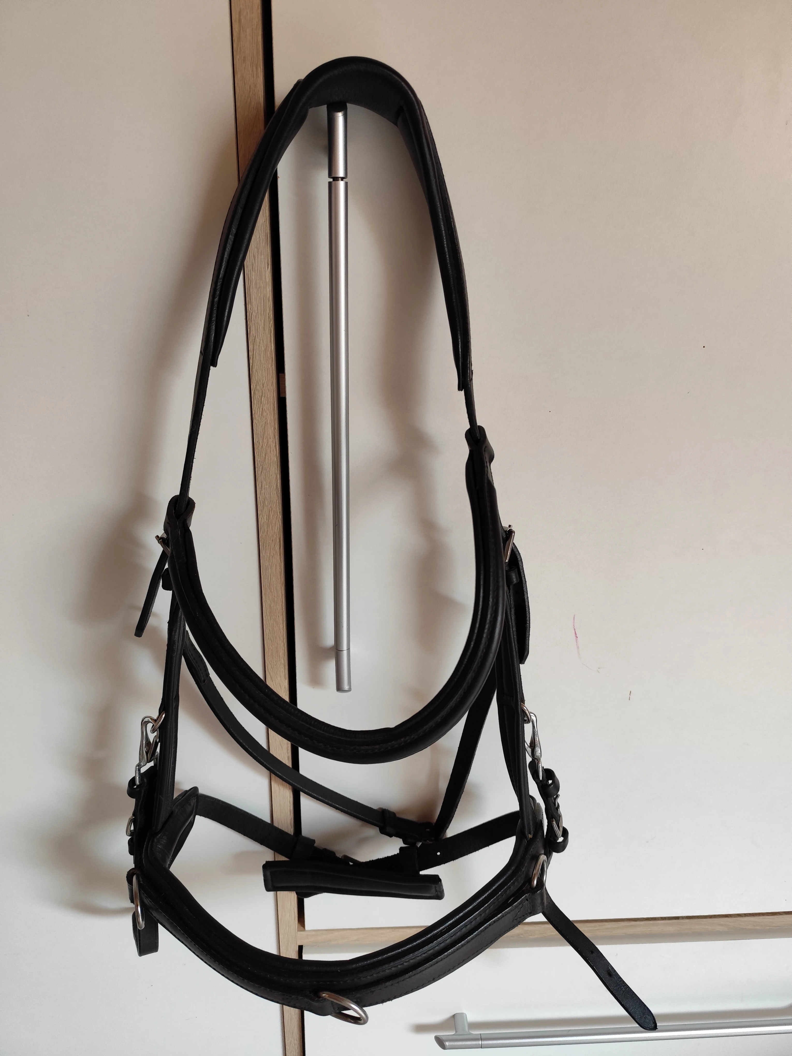 Anatomická uzdečka