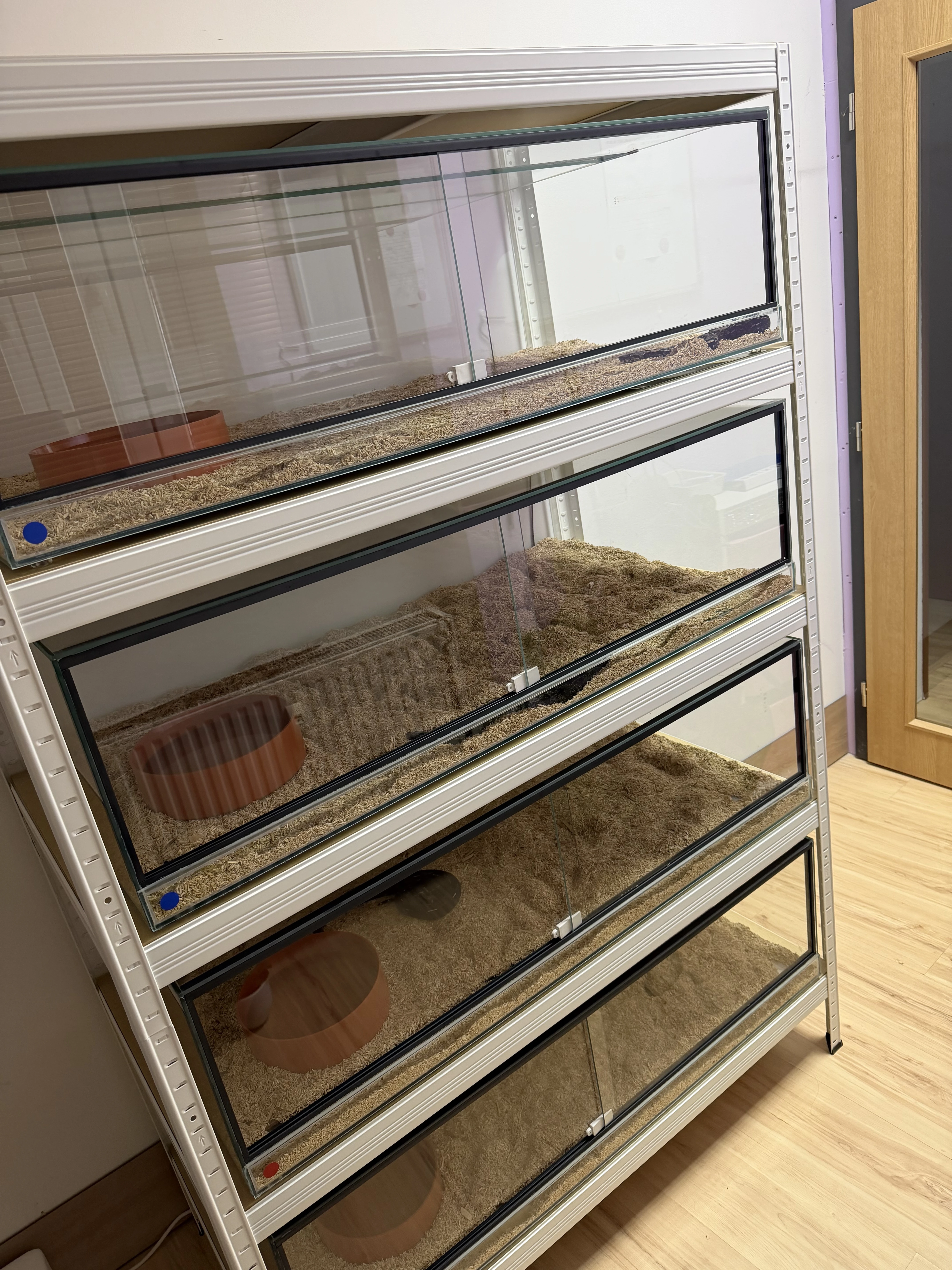 Terarium dva kusy jako nove