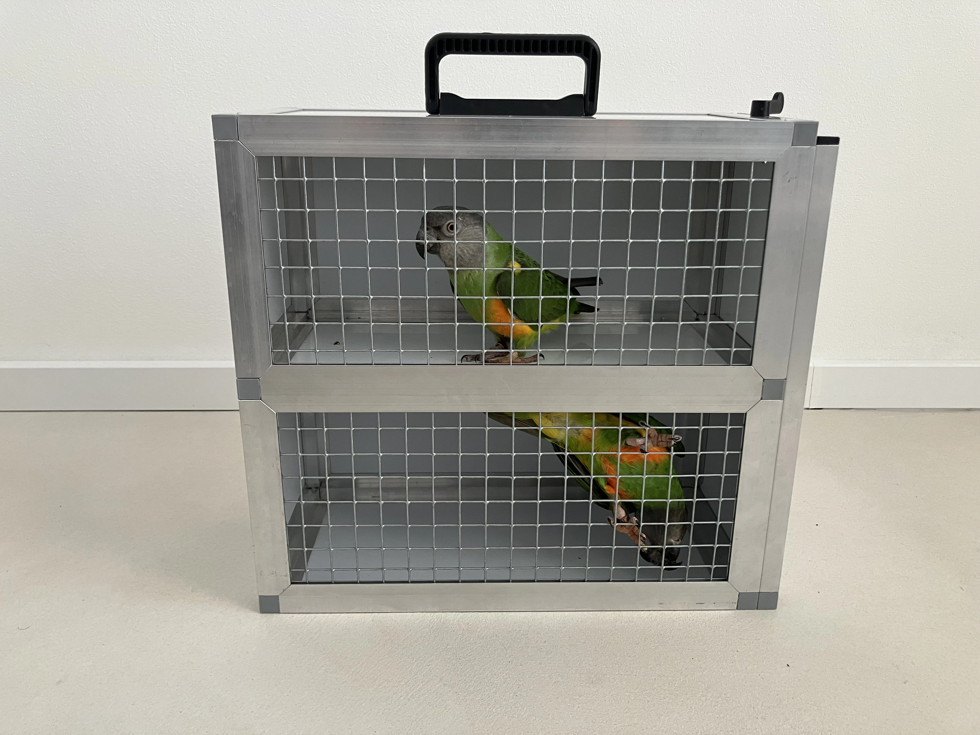 Přepravka, přenoska 40x40x20