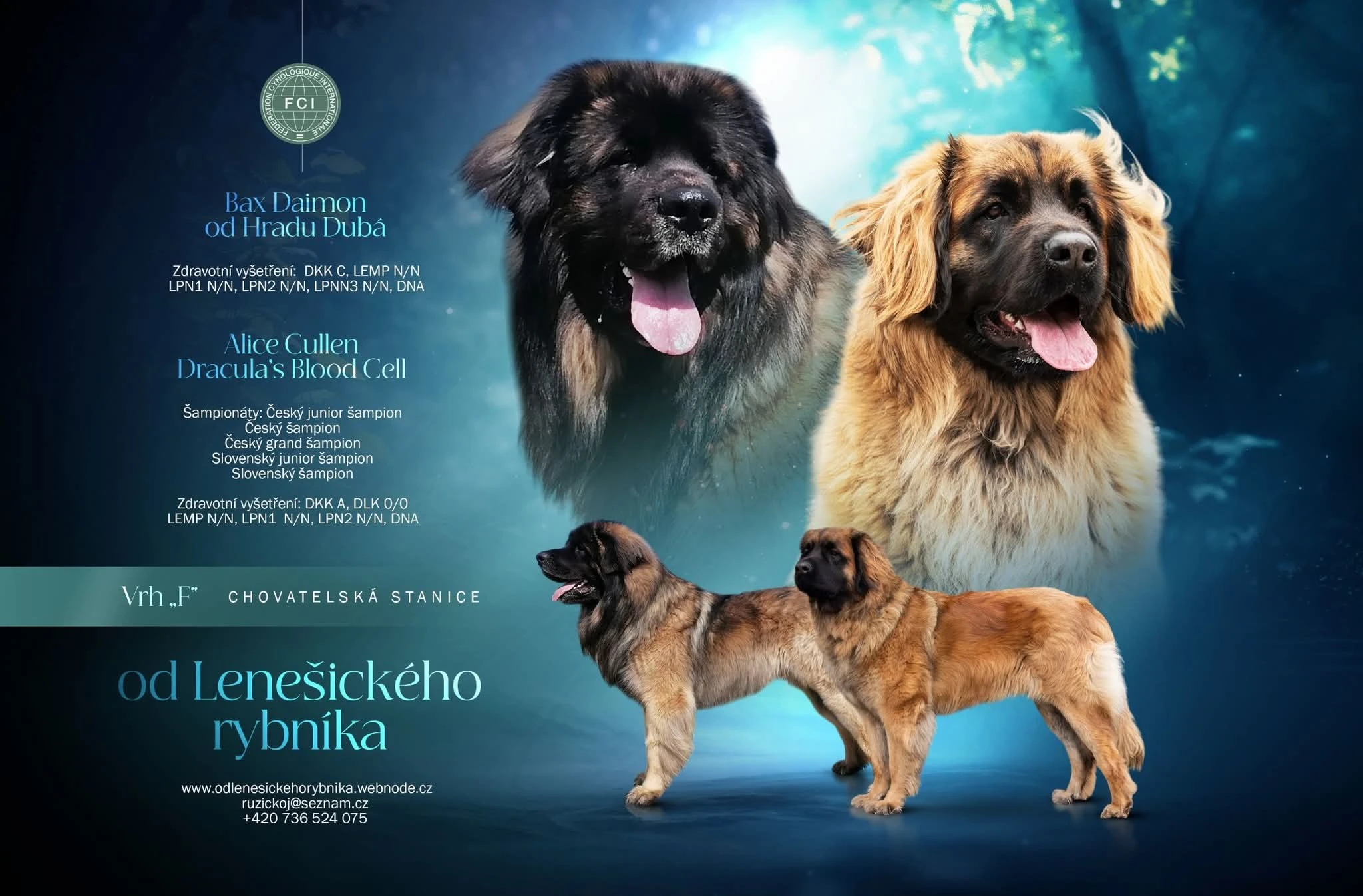 Štěňátka Leonbergera