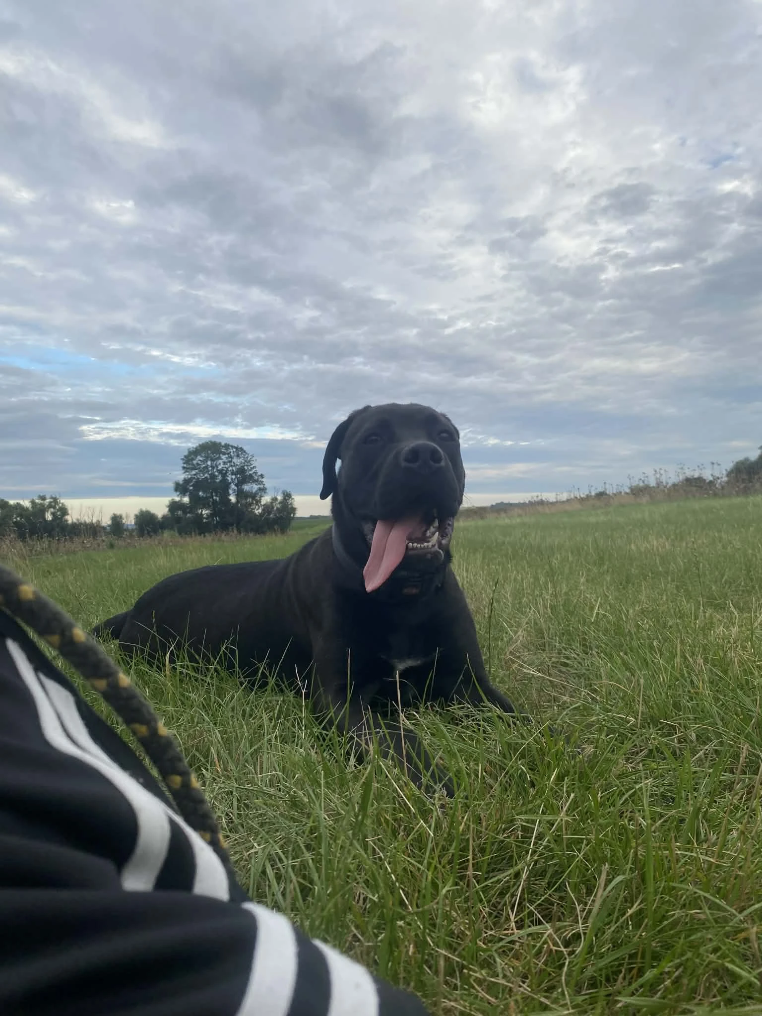 Daruji dobrému člověku