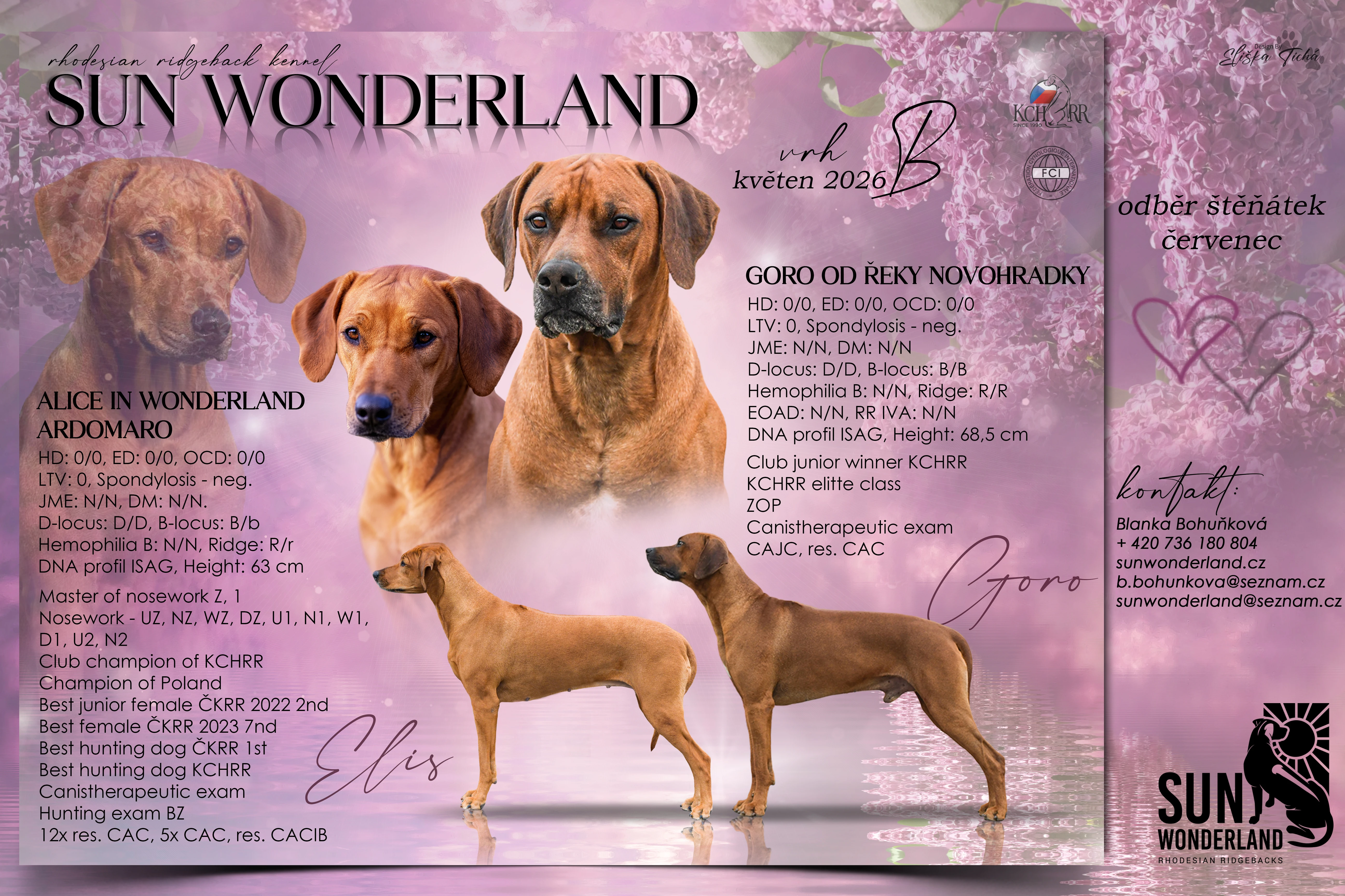 Rhodéský ridgeback