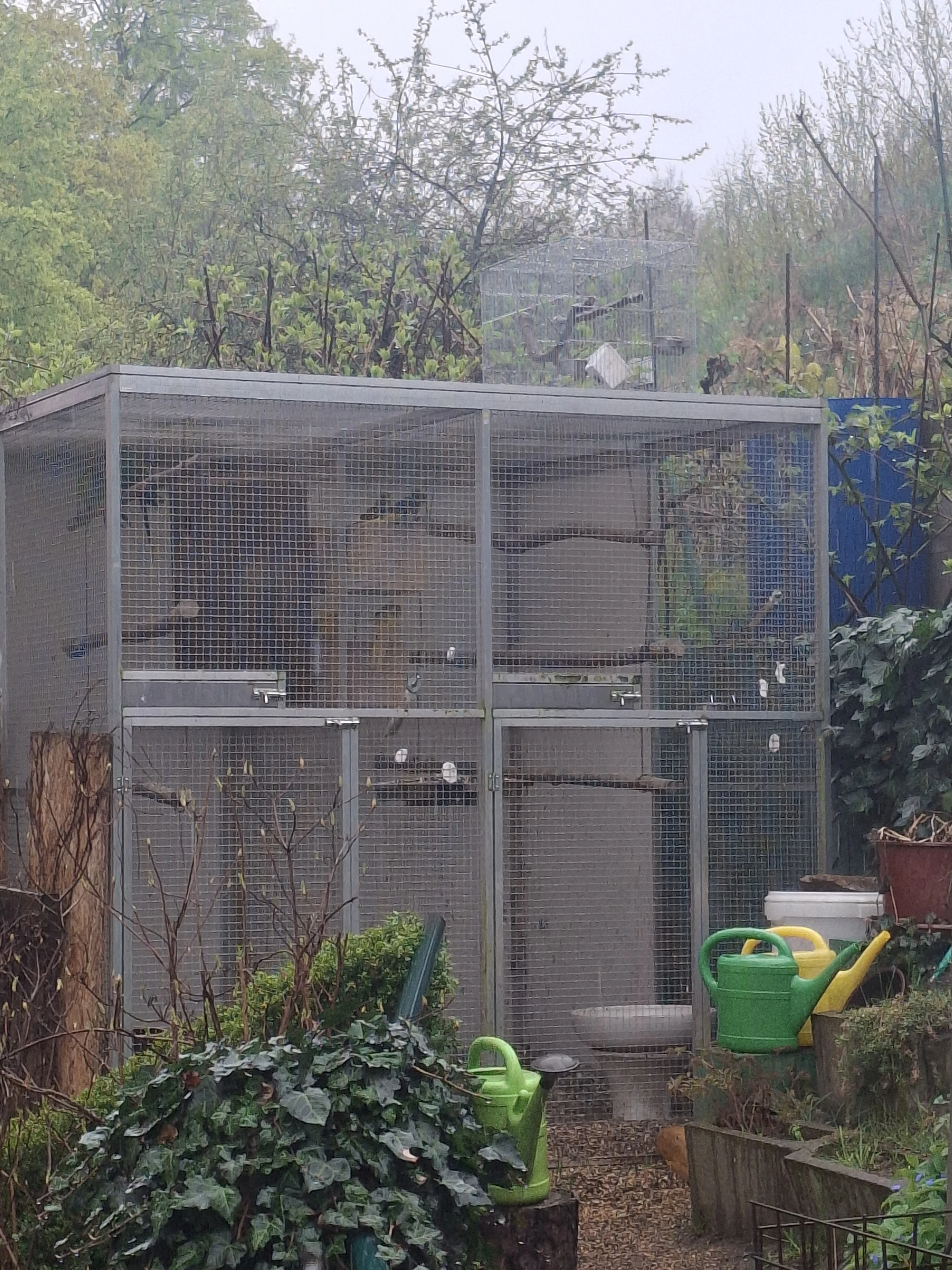 Hliníková voliera včetně osazenstva