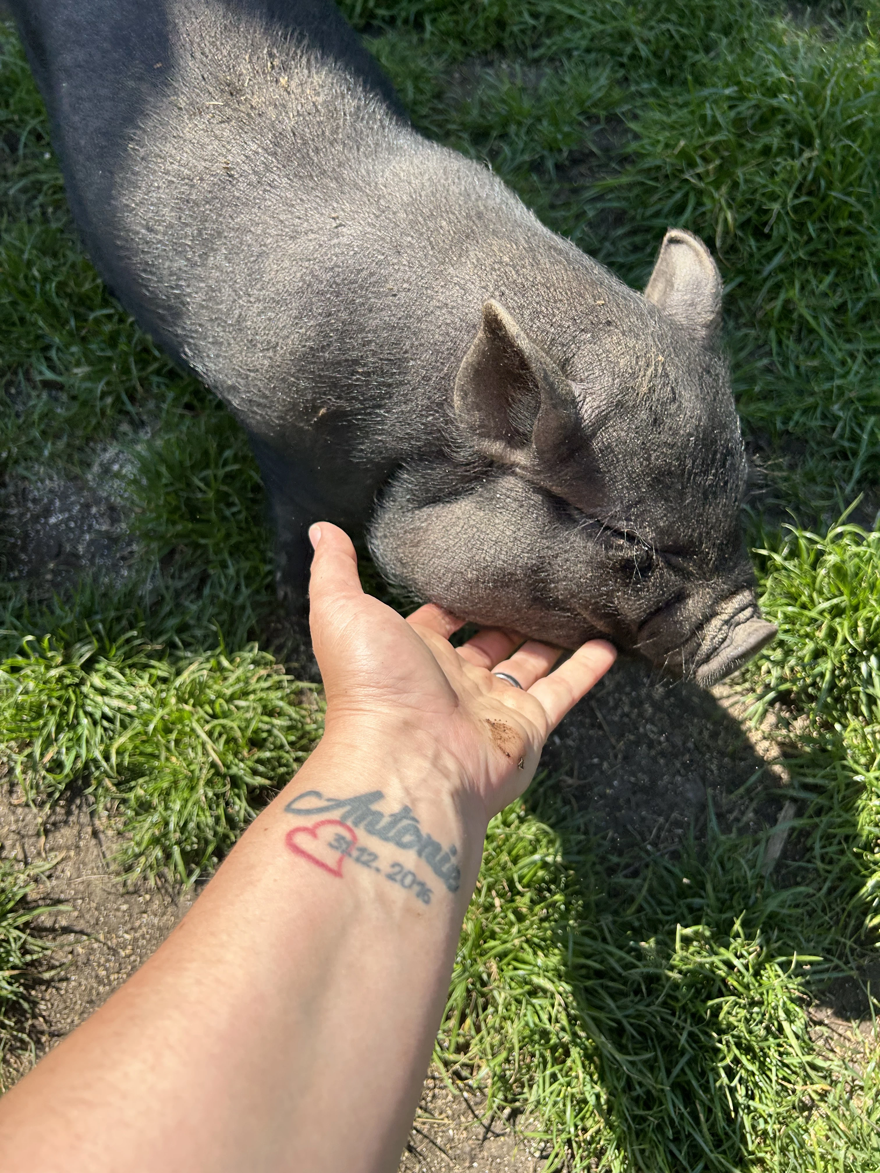 Selátka