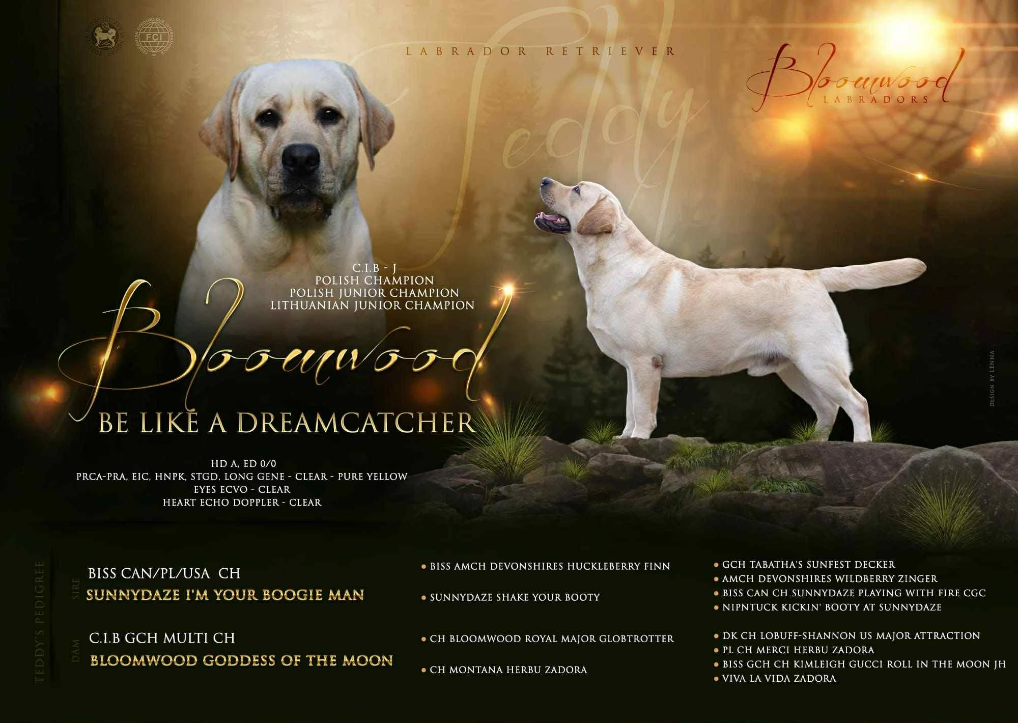 Labradorsky retriever