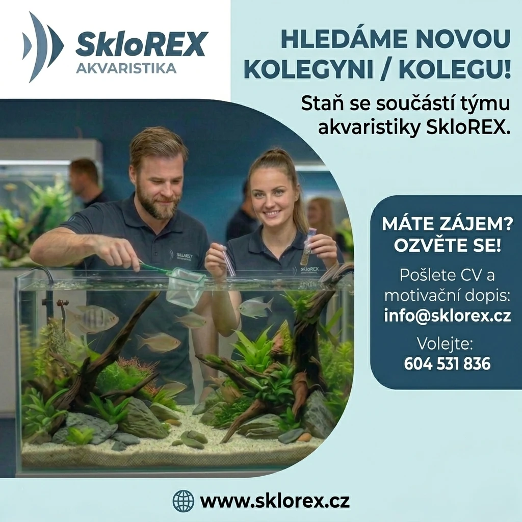Hledáme prodavačku nebo prodavače do naší akvaristiky