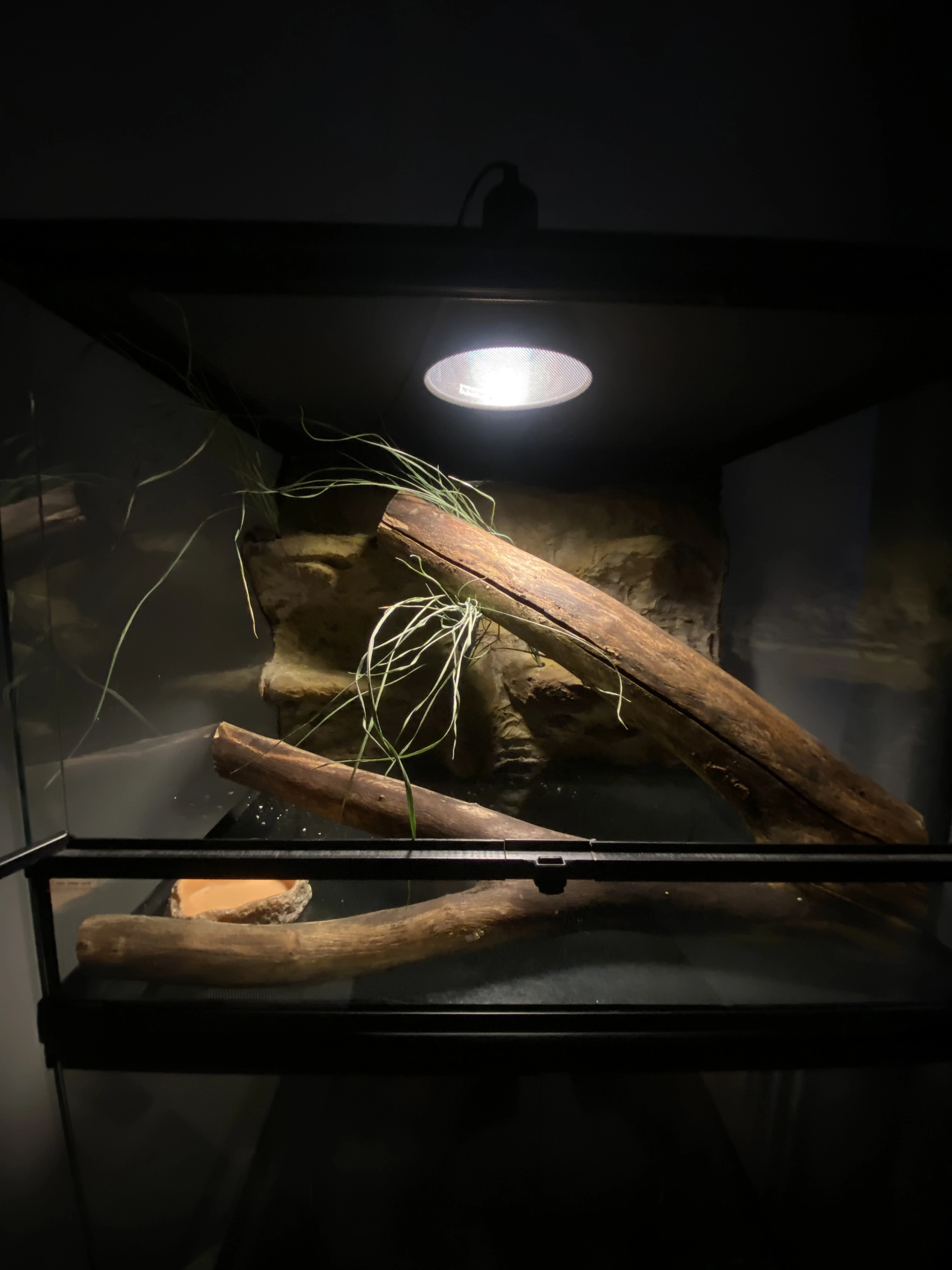 Terarium reptilplanet 60x45x45