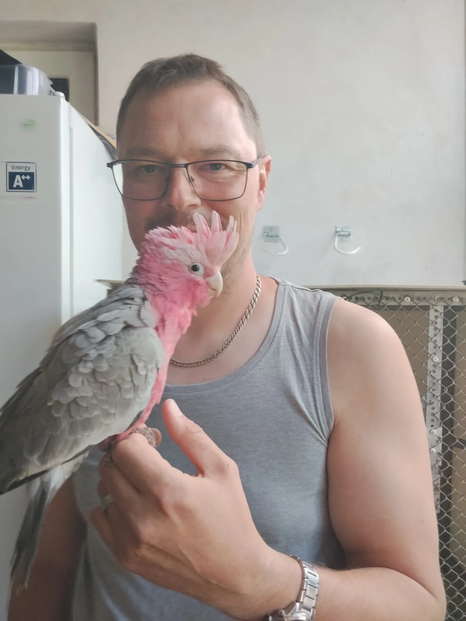 Kakadu růžový