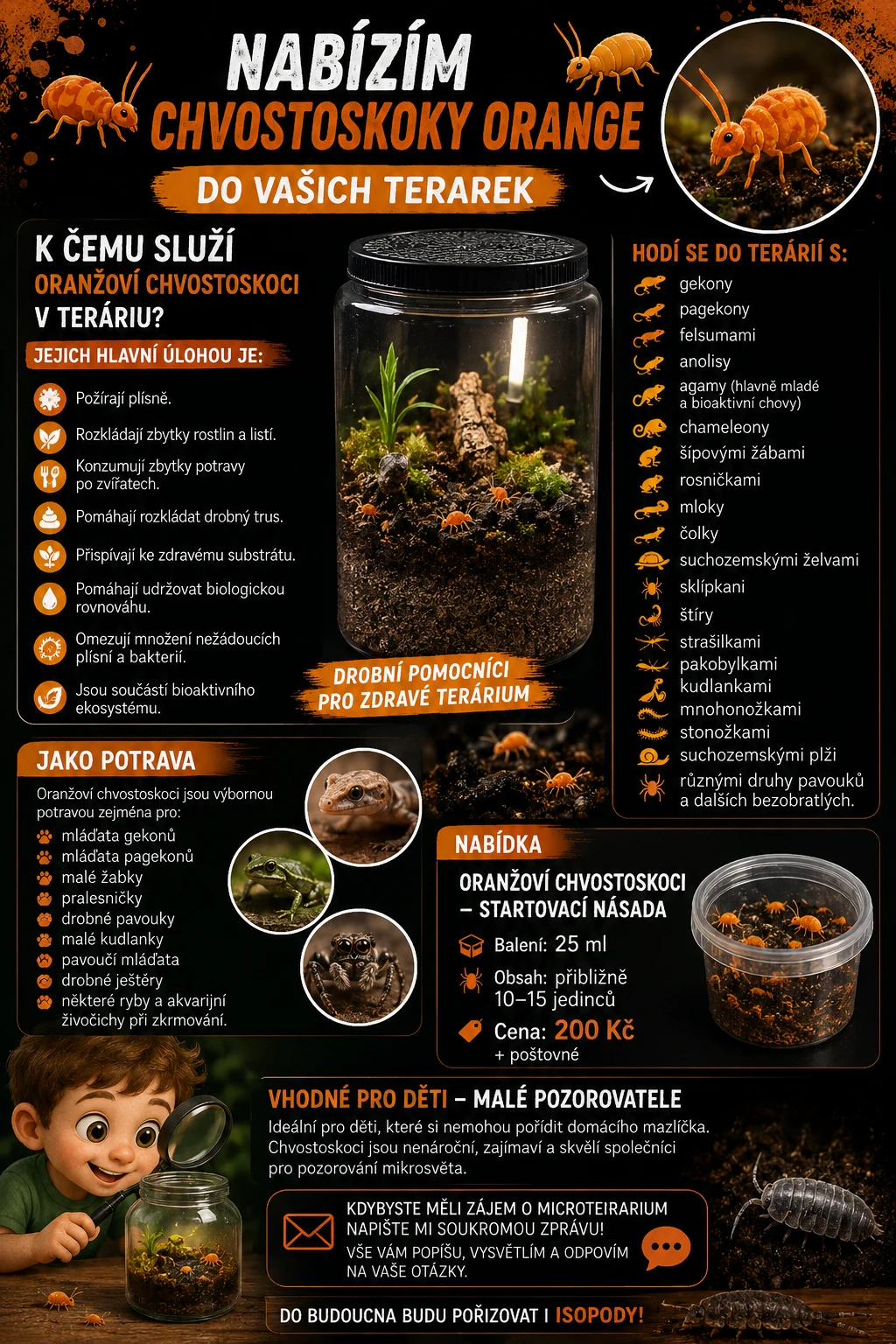 Chvostoskoci oranžový