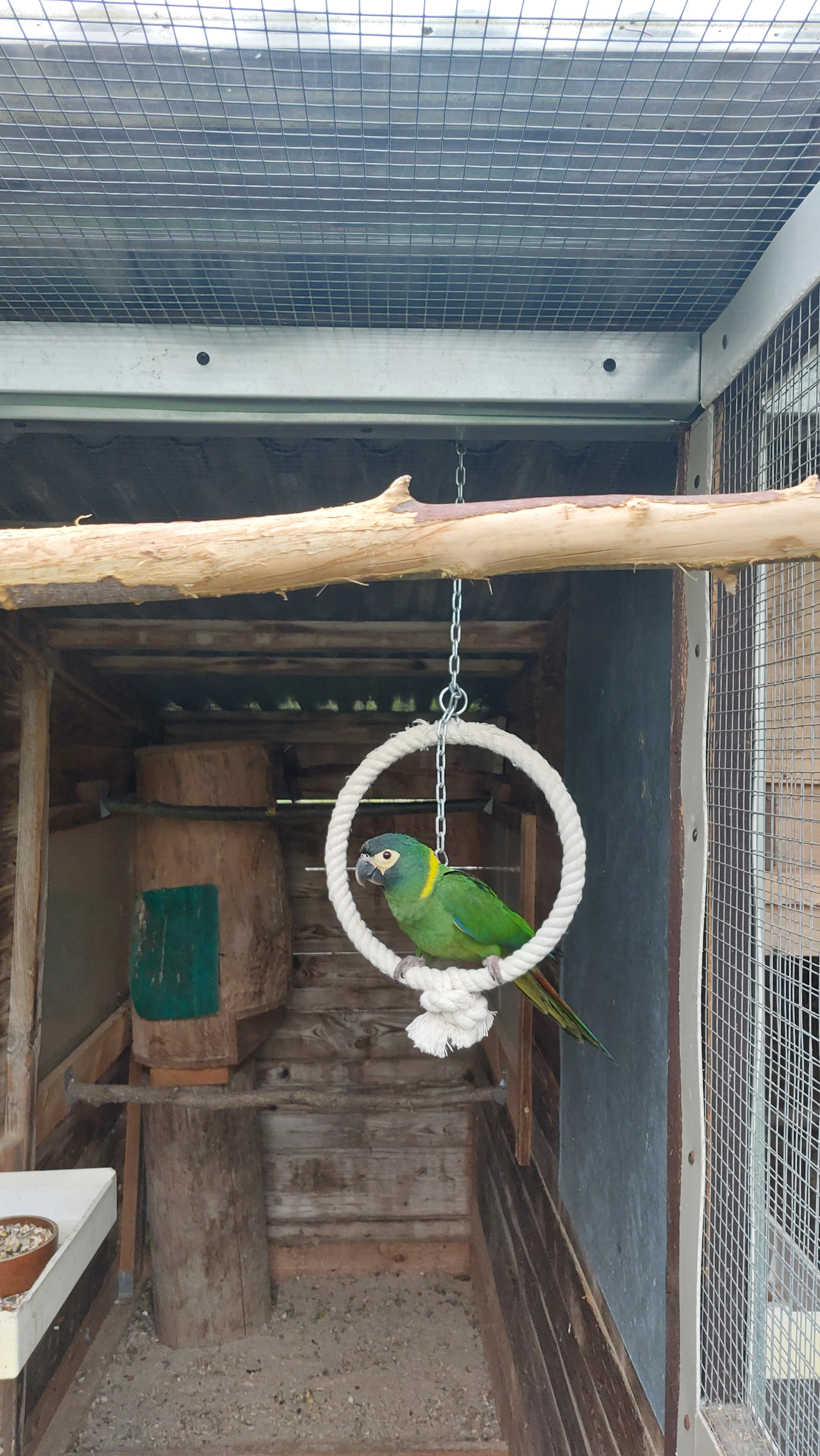 Prodám