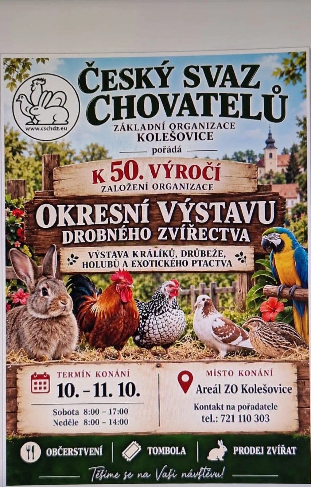 Výstava