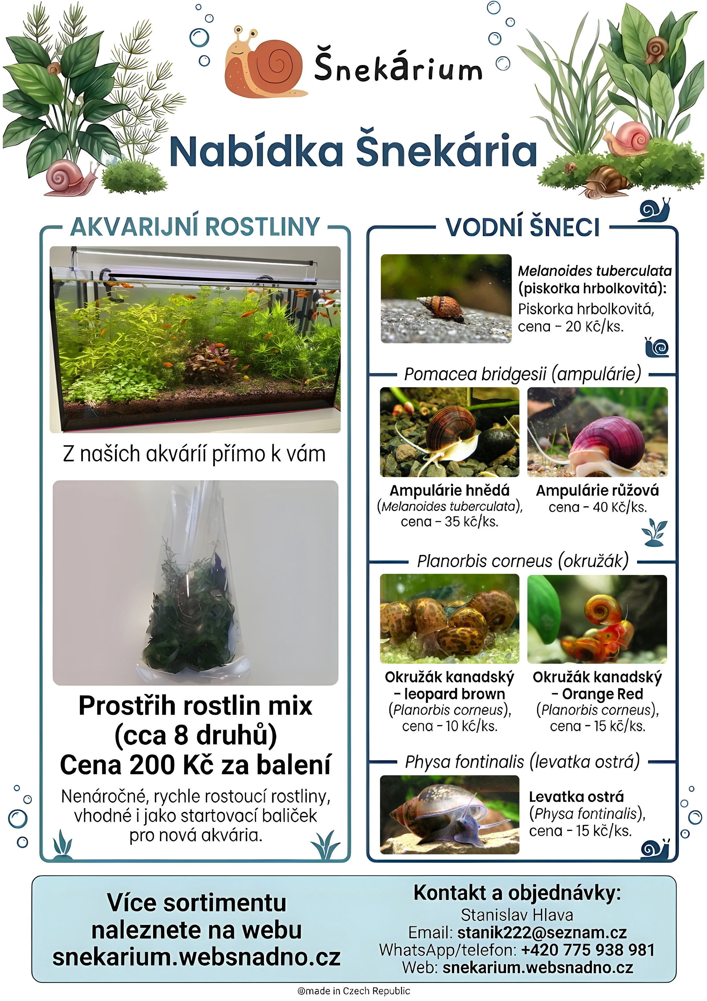 Akvarijní rostliny / ampulárie / okružáci / pískořky / levatky