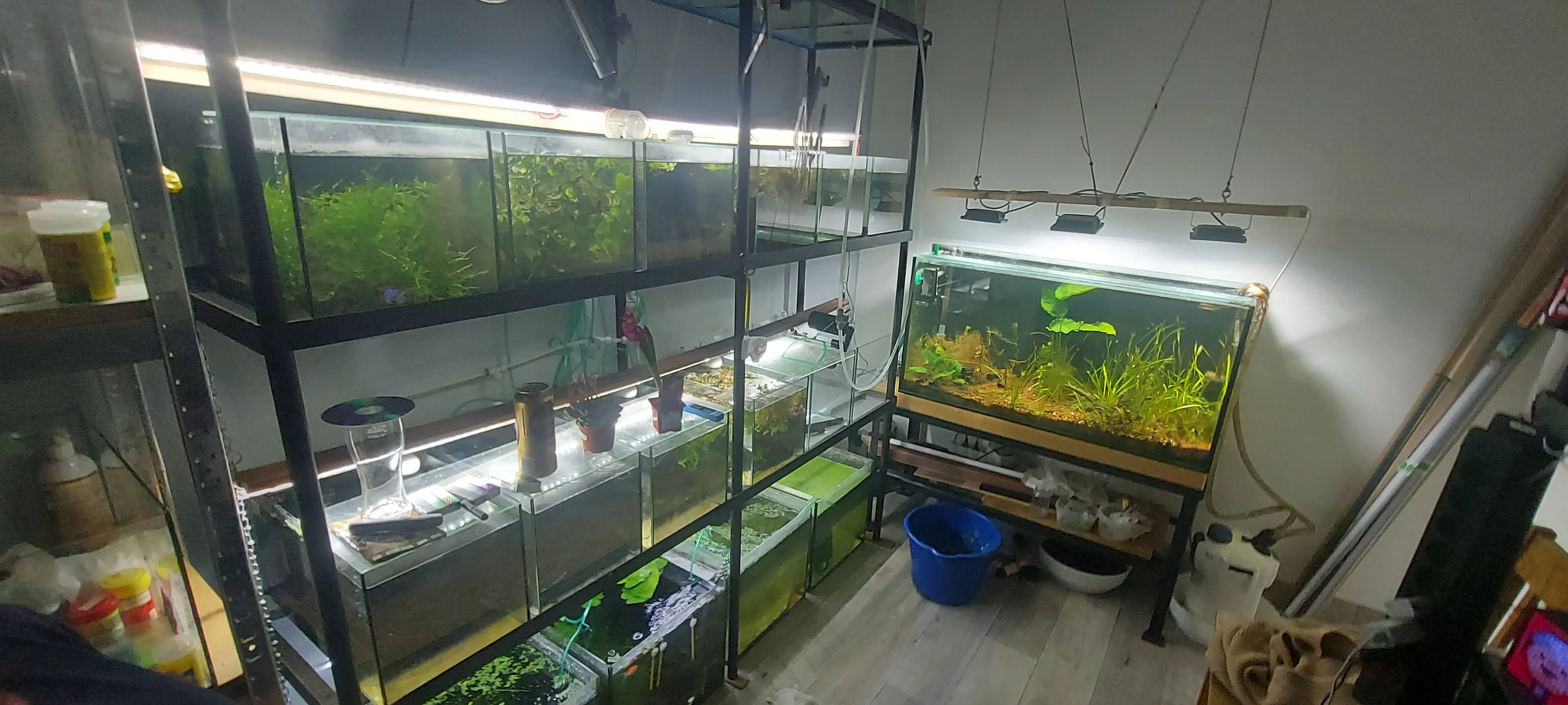 Akvarijni stojan krevetarium,akvarium,co2,osmoza