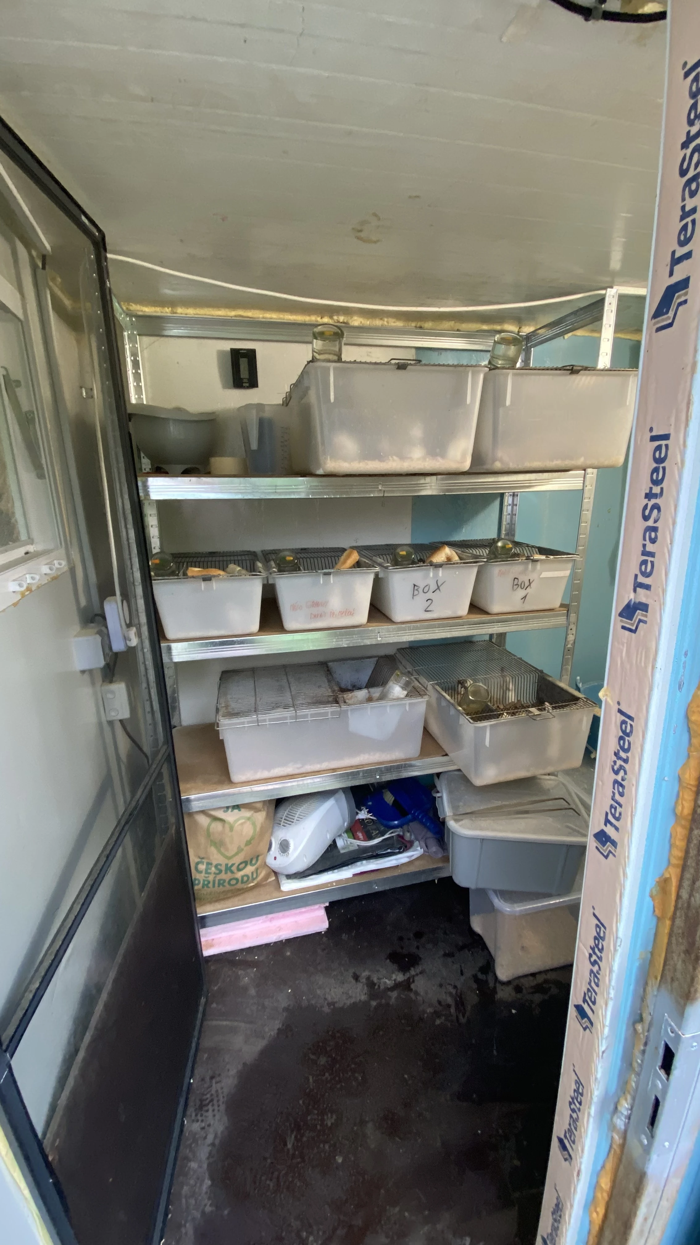 Prodám mastomysi a potkany z chovu.