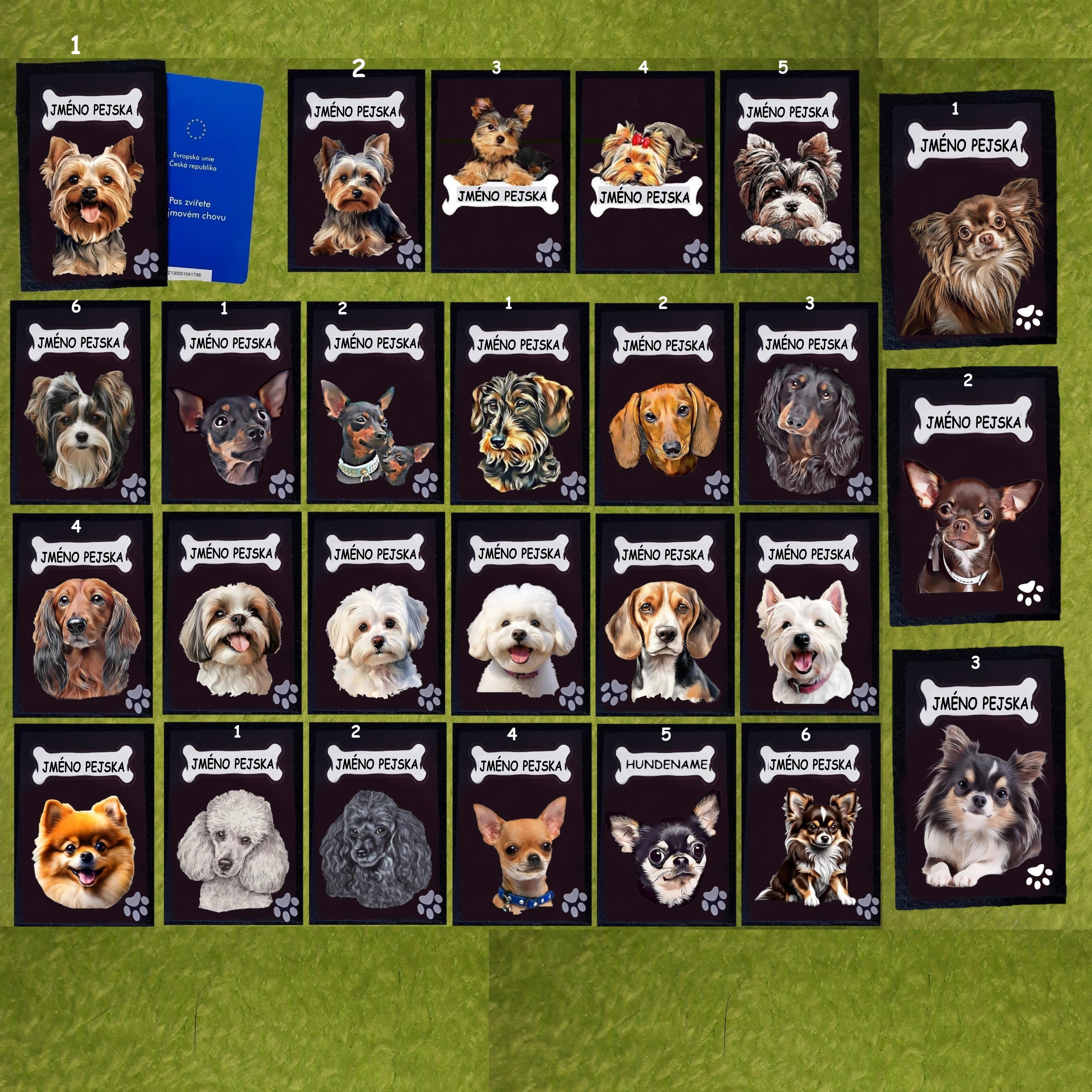 Pouzdro na očkovací průkaz