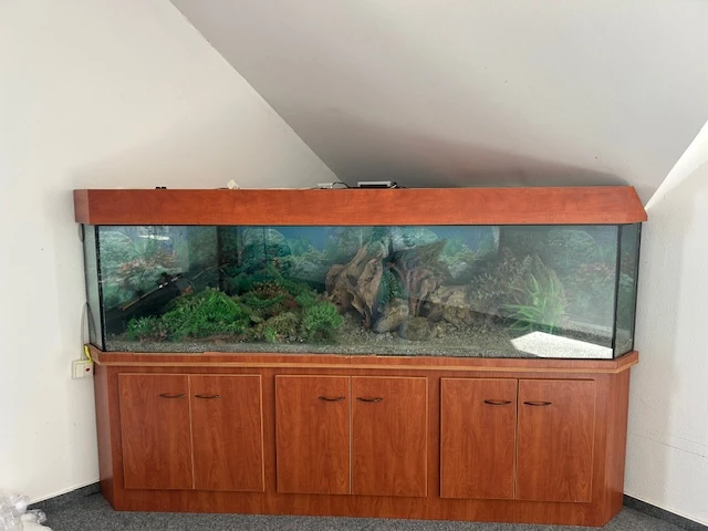 Prodám velkoobjemové akvárium