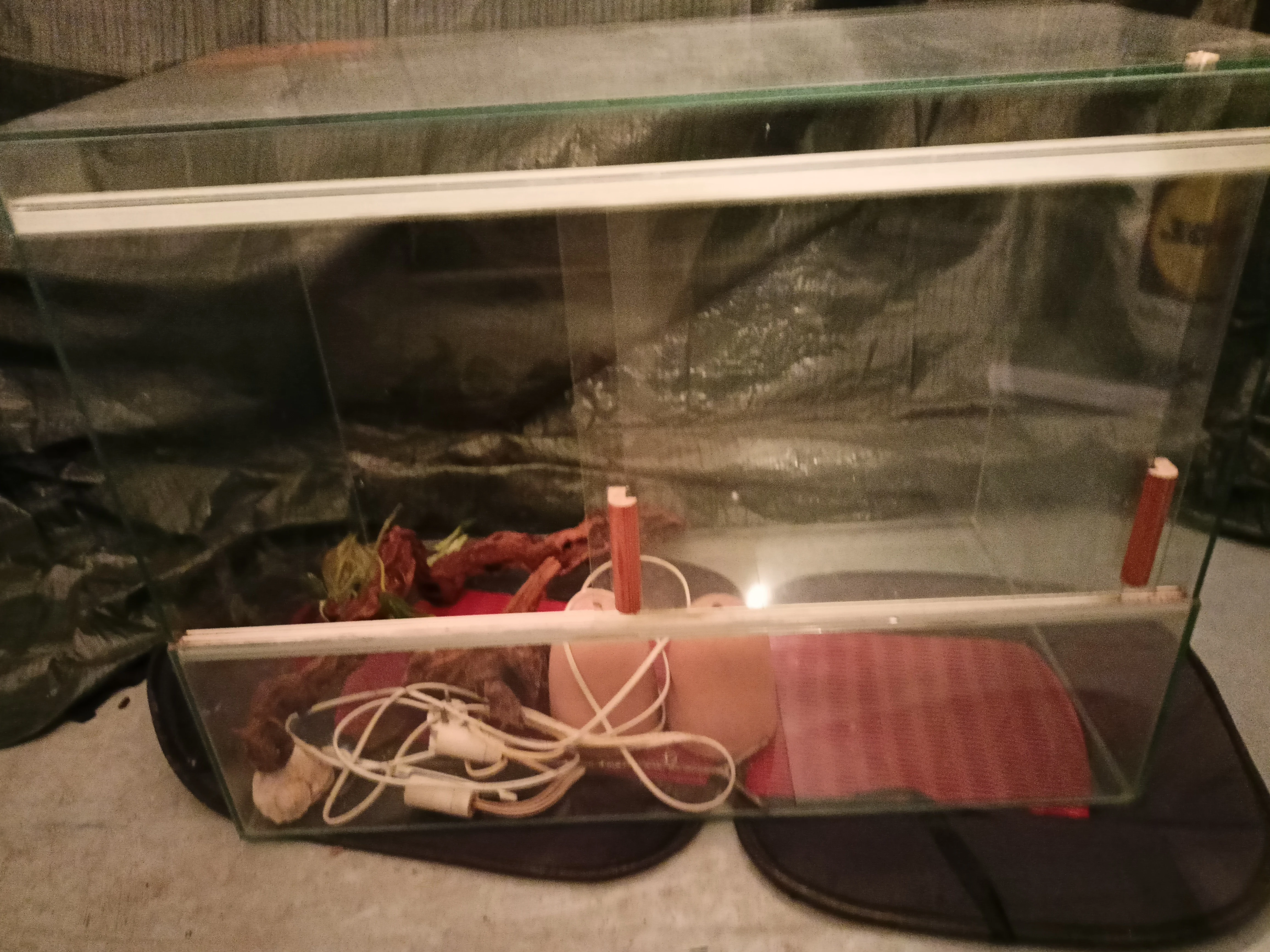 TERARIUM - střední velikosti 74x56x42,5 cm