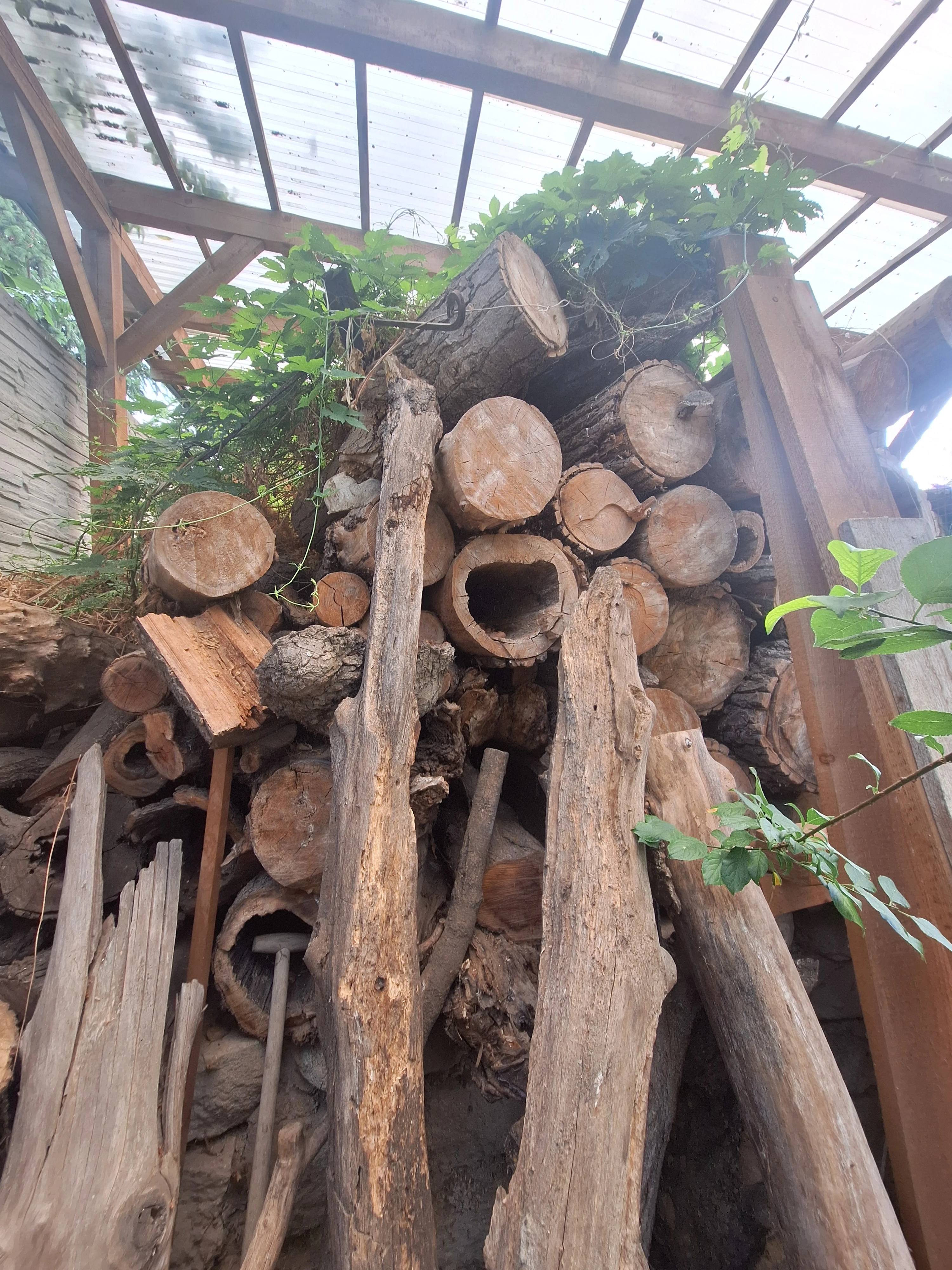 Přirozené hnízdní budky pro velké papoušky