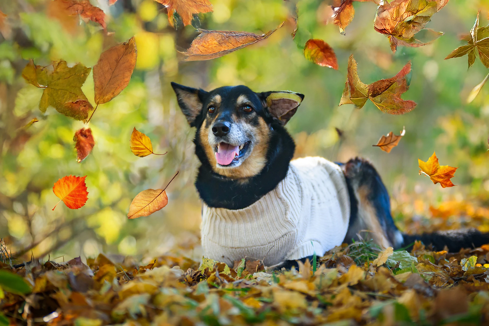 ALOHA – holčička, co rozdává slunce i v dešti