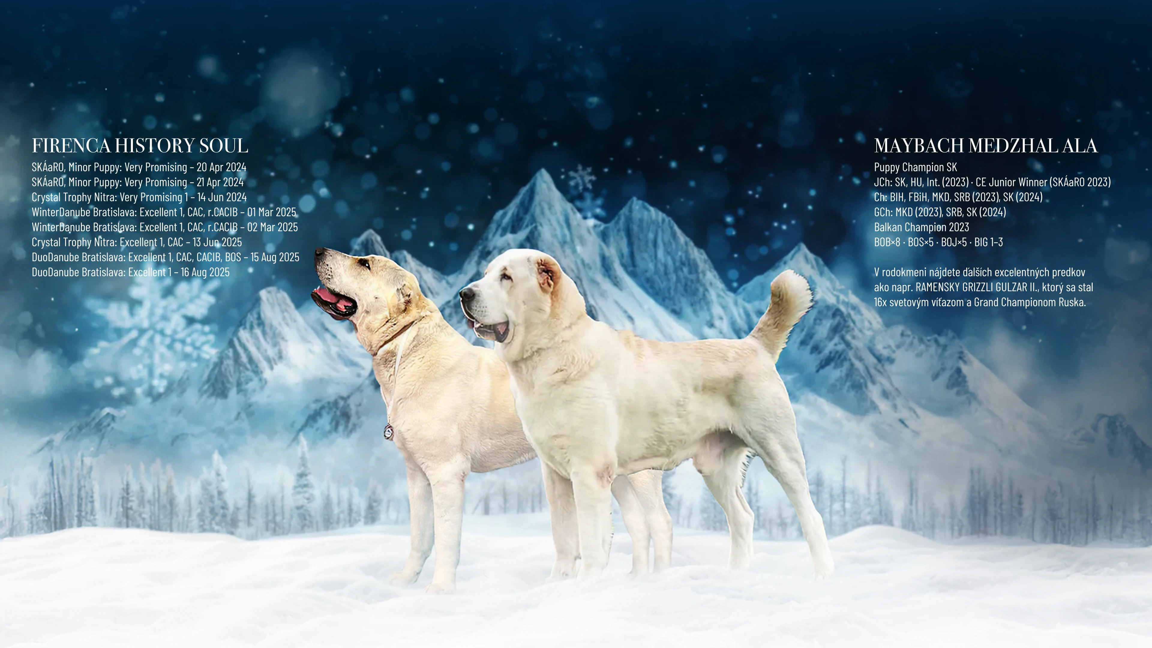 Prijímame rezervácie na šteniatka