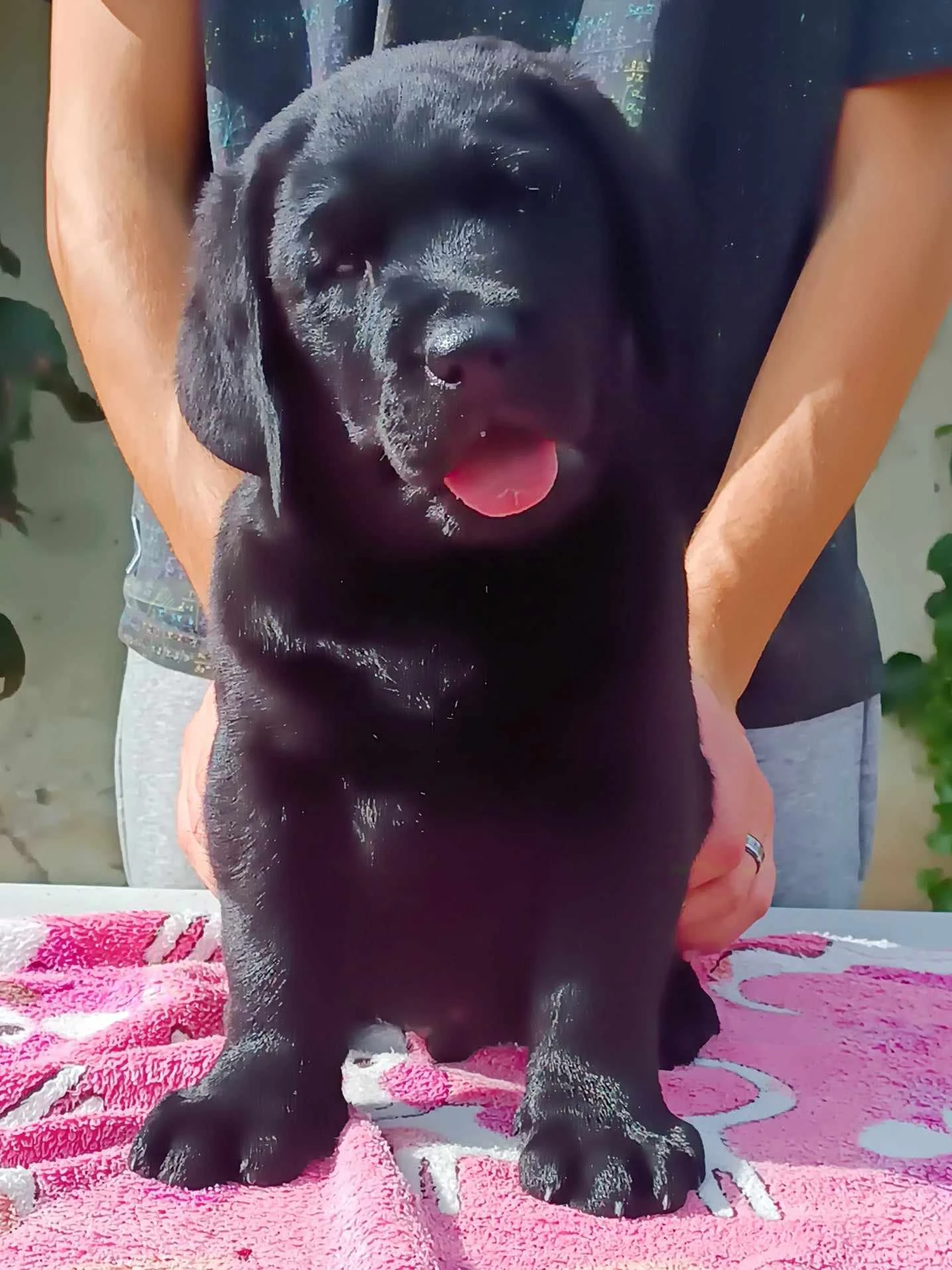 Dva černí kluci s PP