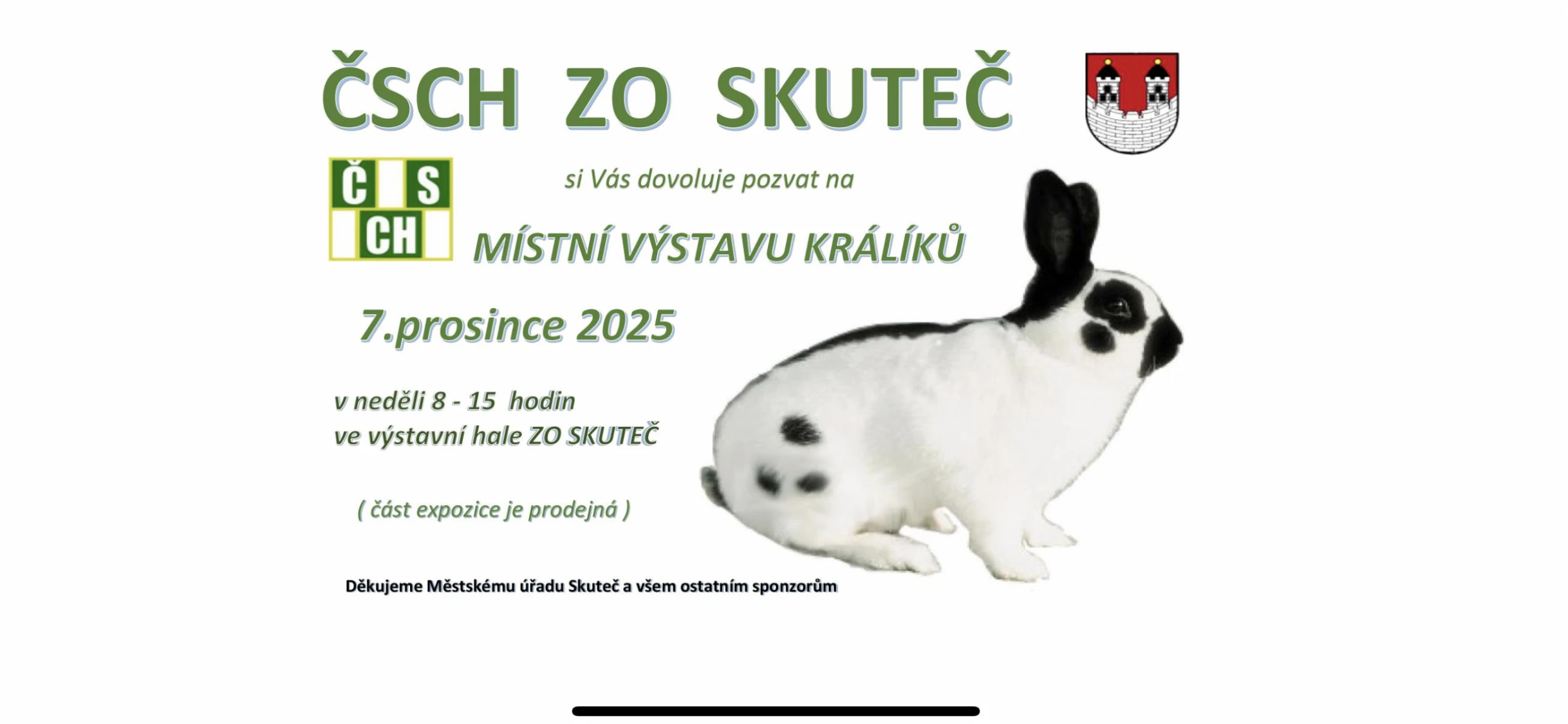 Výstava Skuteč