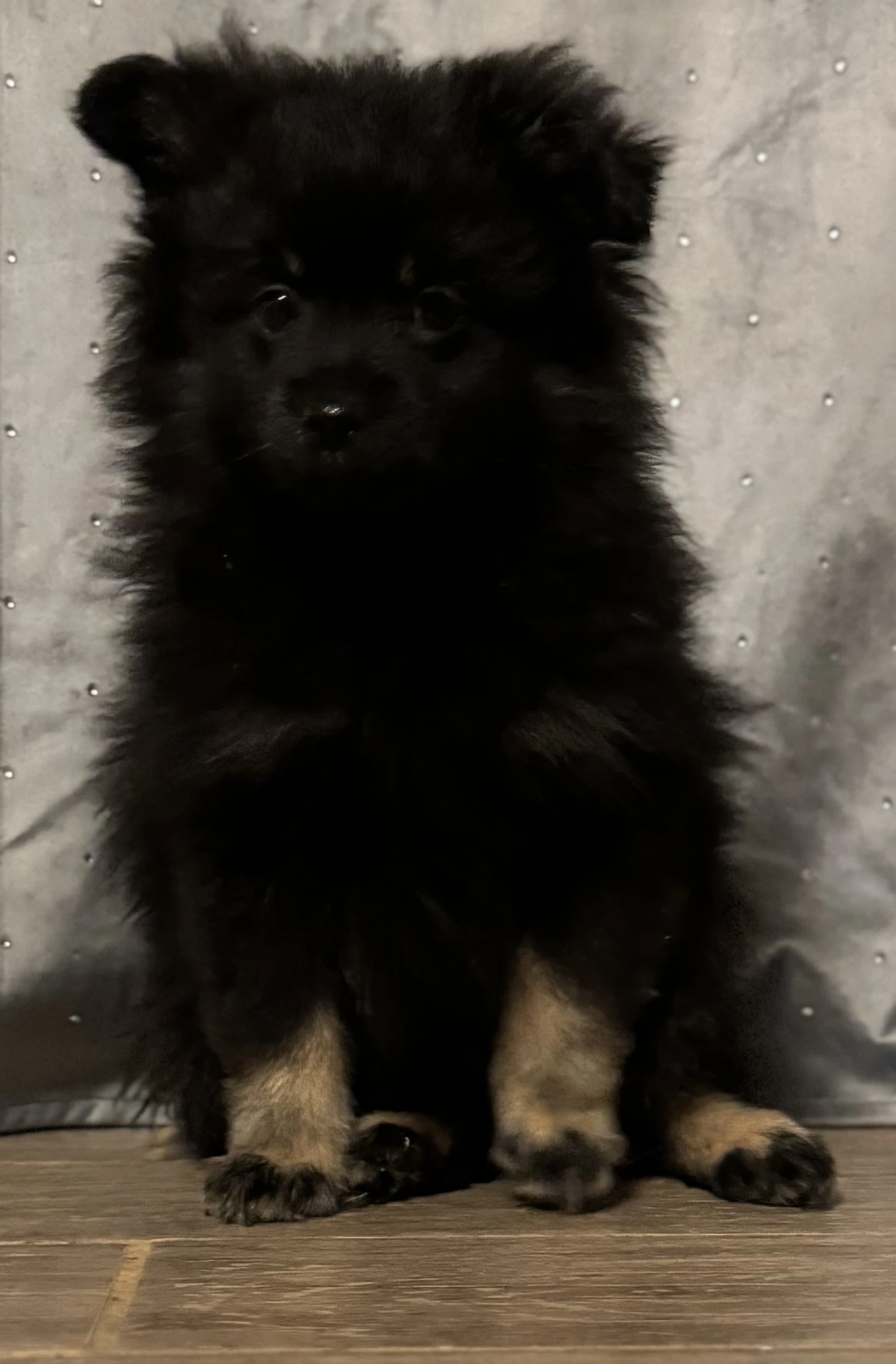 Krásná černá kulička