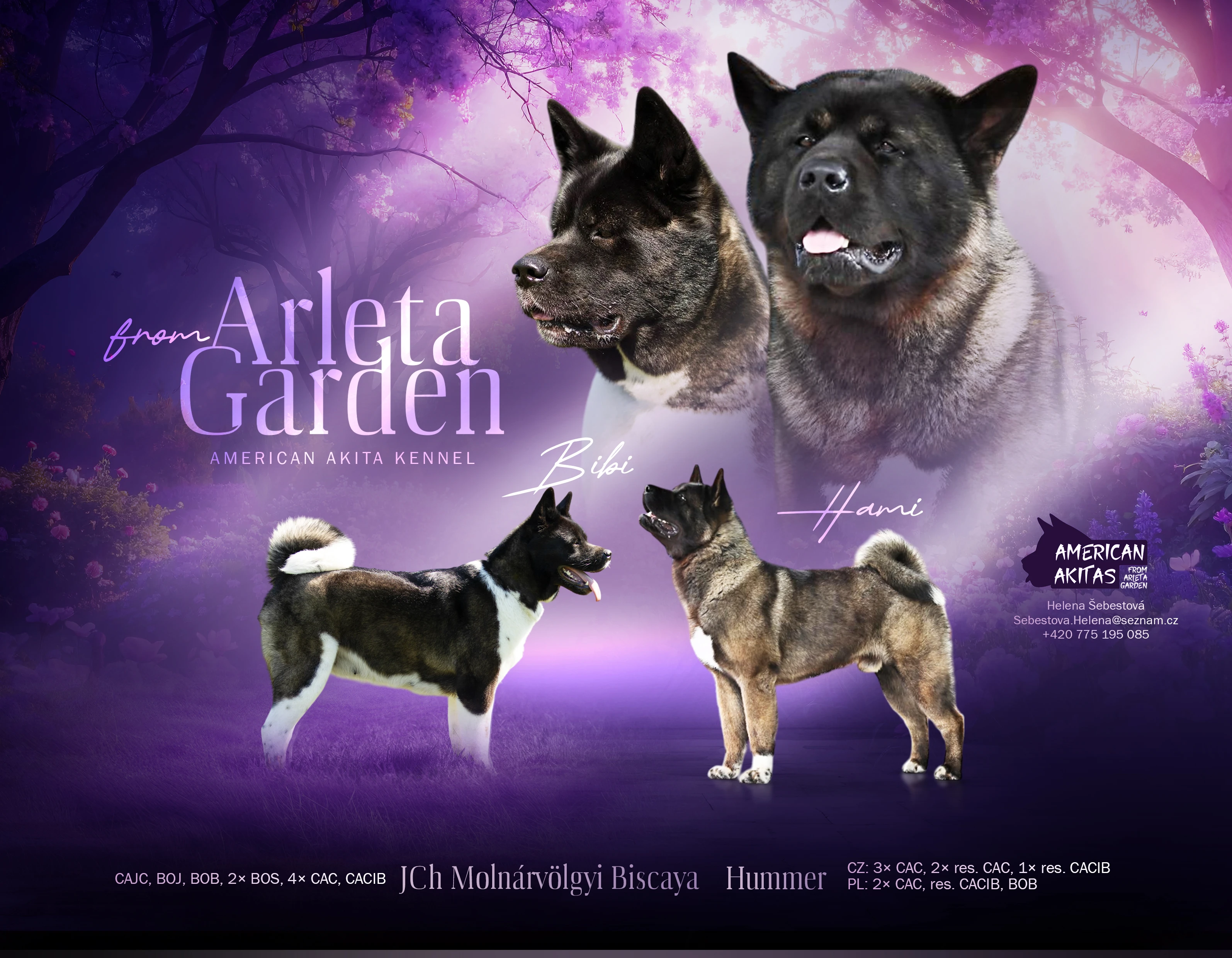 Rezervace štěňátek k prodeji