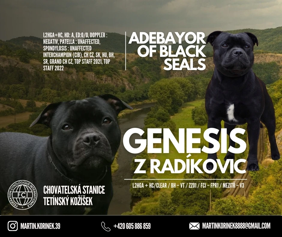 Poslední volná fenečka Andulka