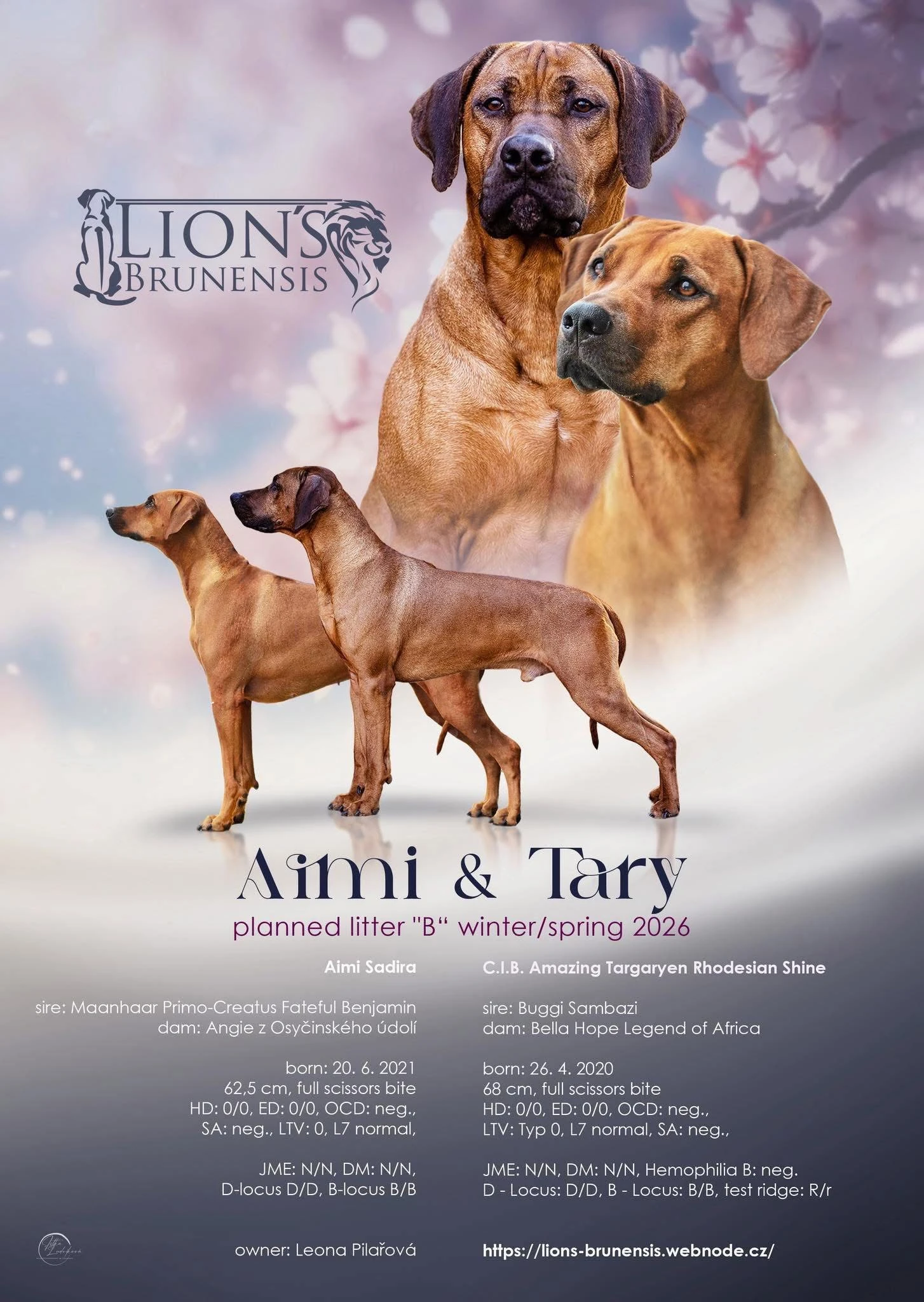 Rhodéský ridgeback s PP