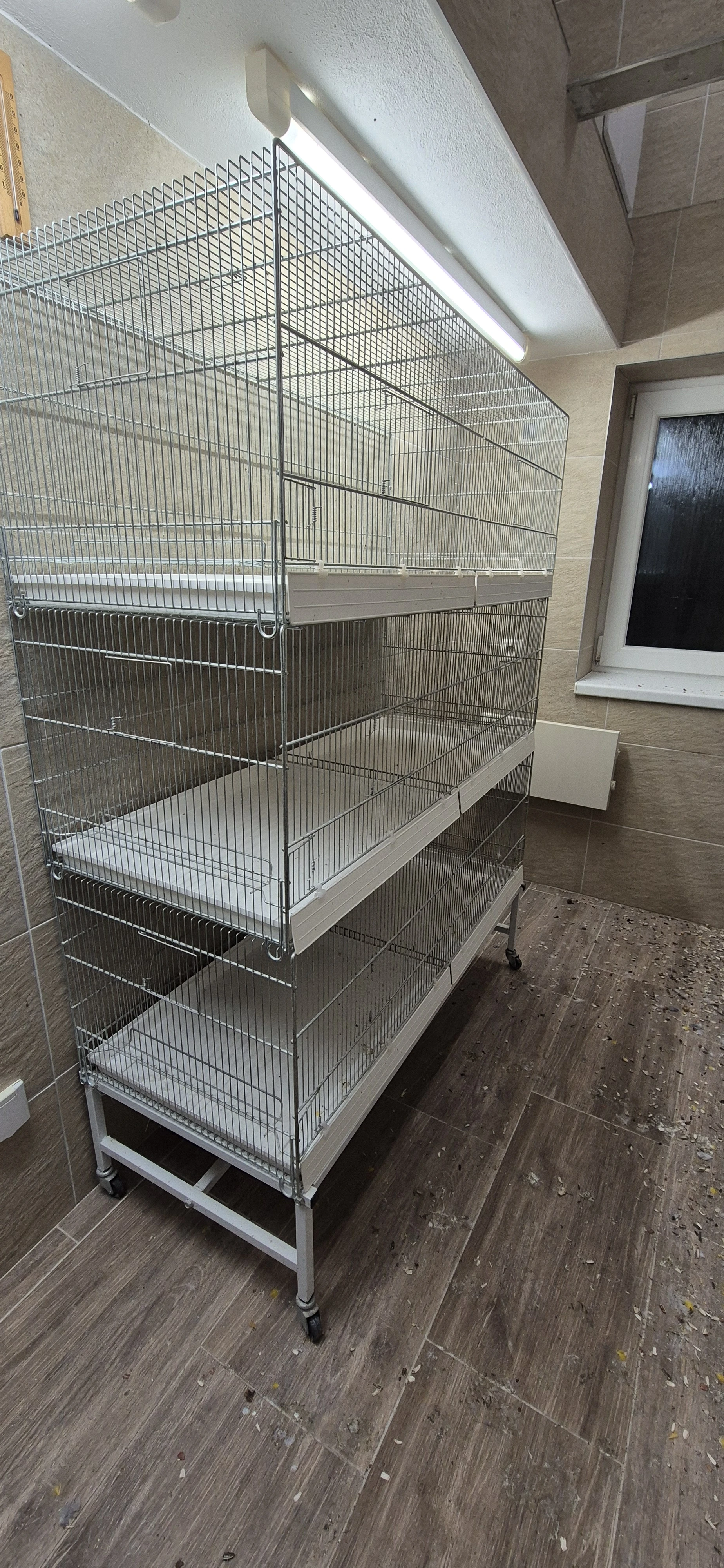 Klece domus molinari