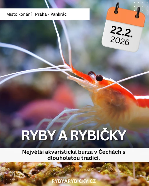 Ryby a rybičky - výstavní a prodejní akvaristická burza v Praze - 22.2.2026
