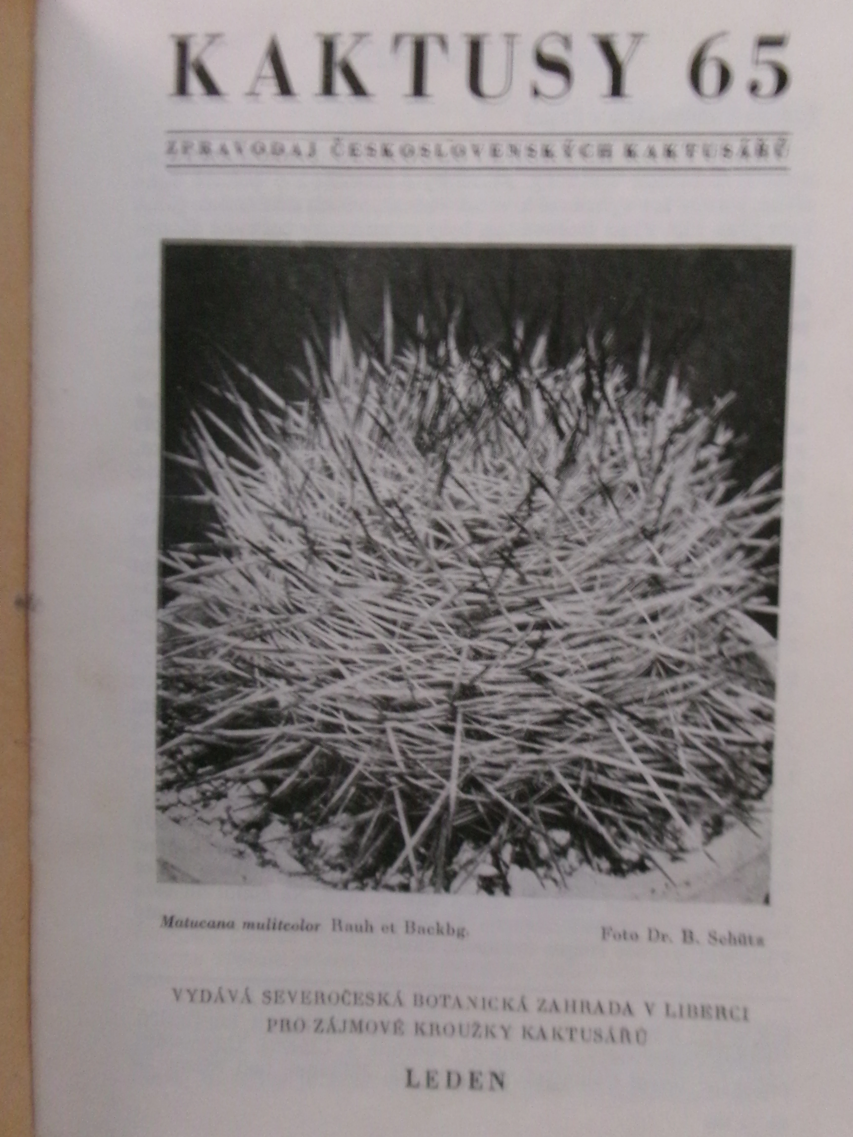 Kaktusy 1965 - 1974 - kompletní ročníky.