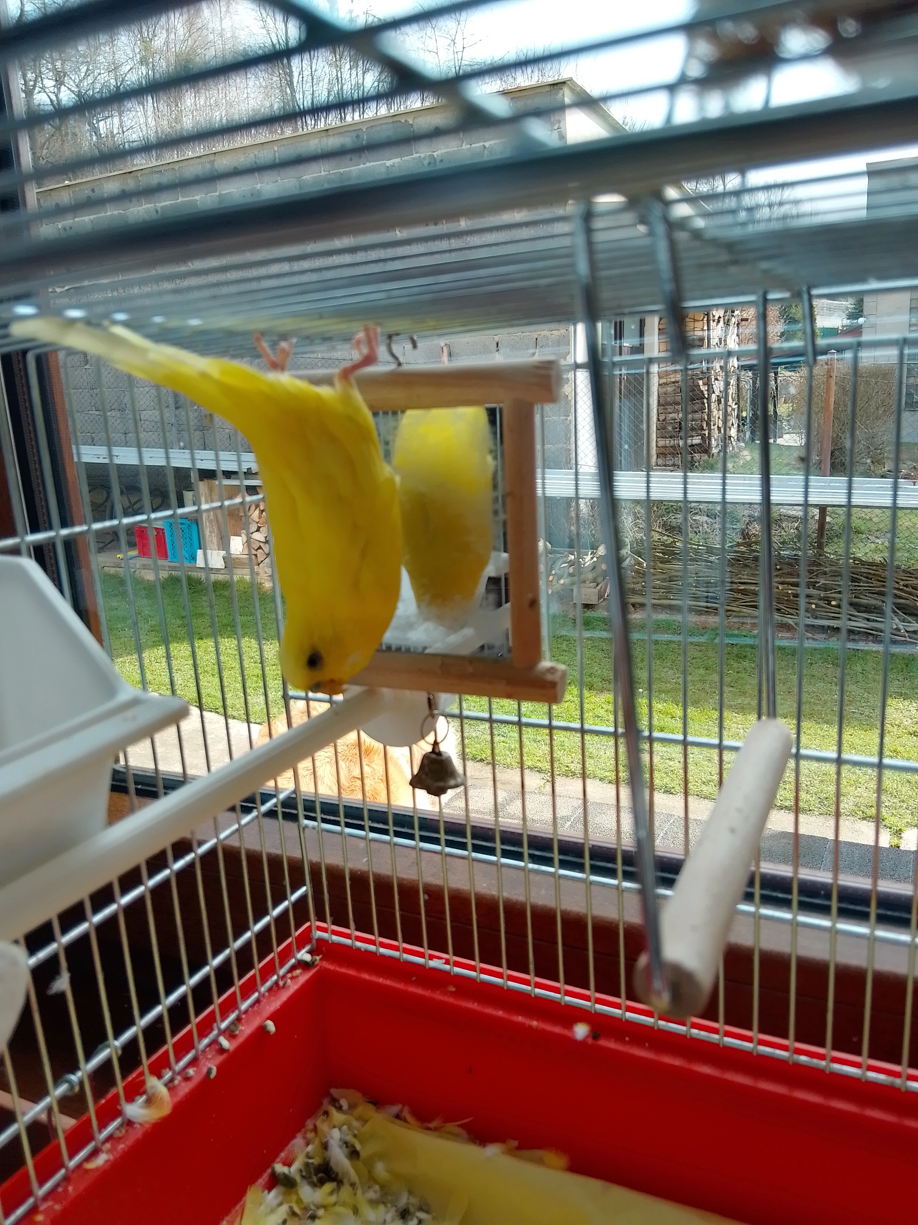 Darují do dobrých rukou