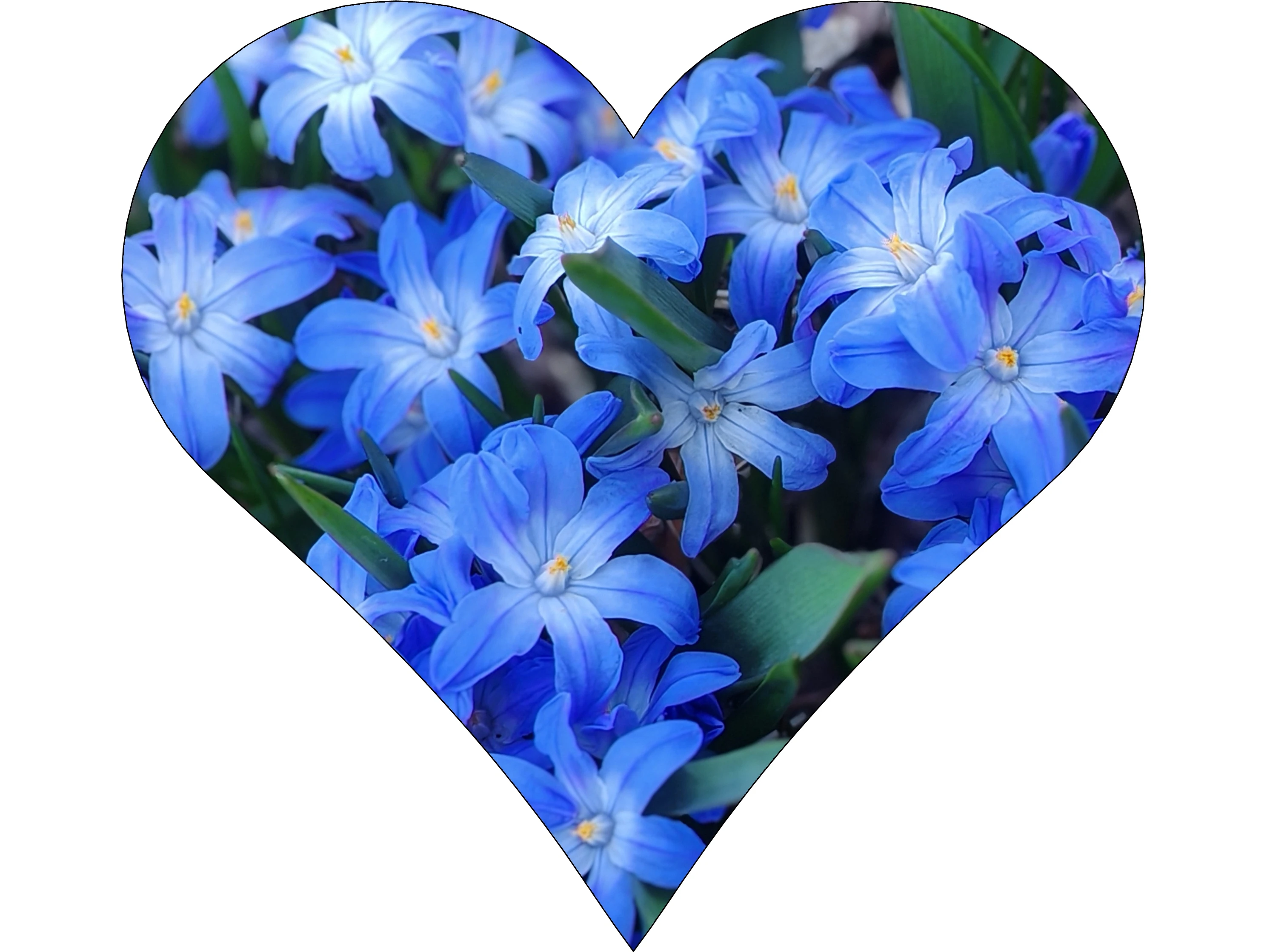 Kdepak se schováváš?