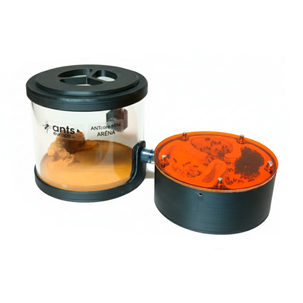Formikárium antcore pro s výběhem