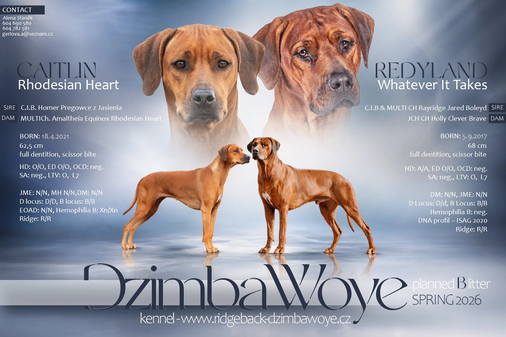 Psí láska na celý život