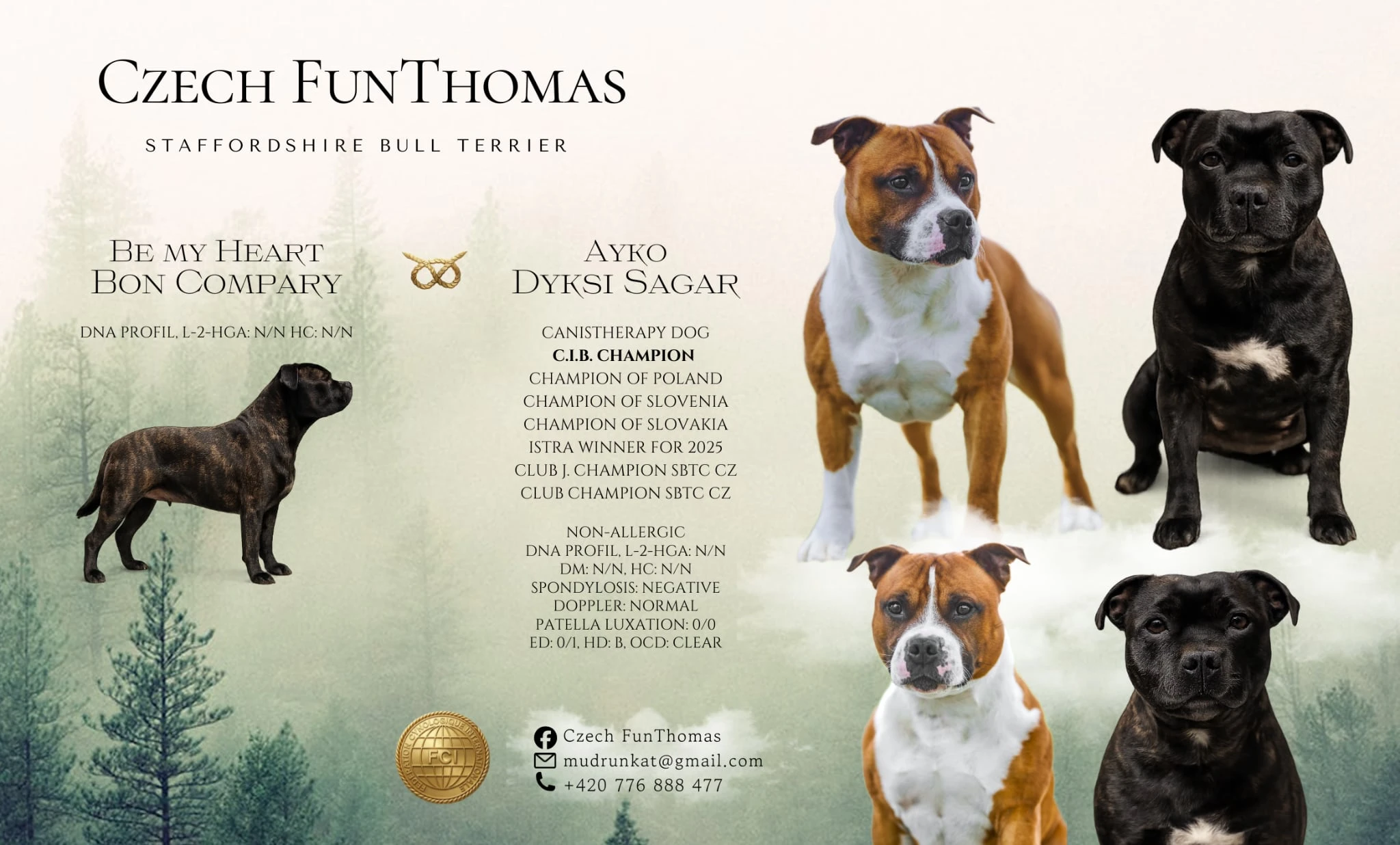 Volný kluk Stafordšírského bulteriéra