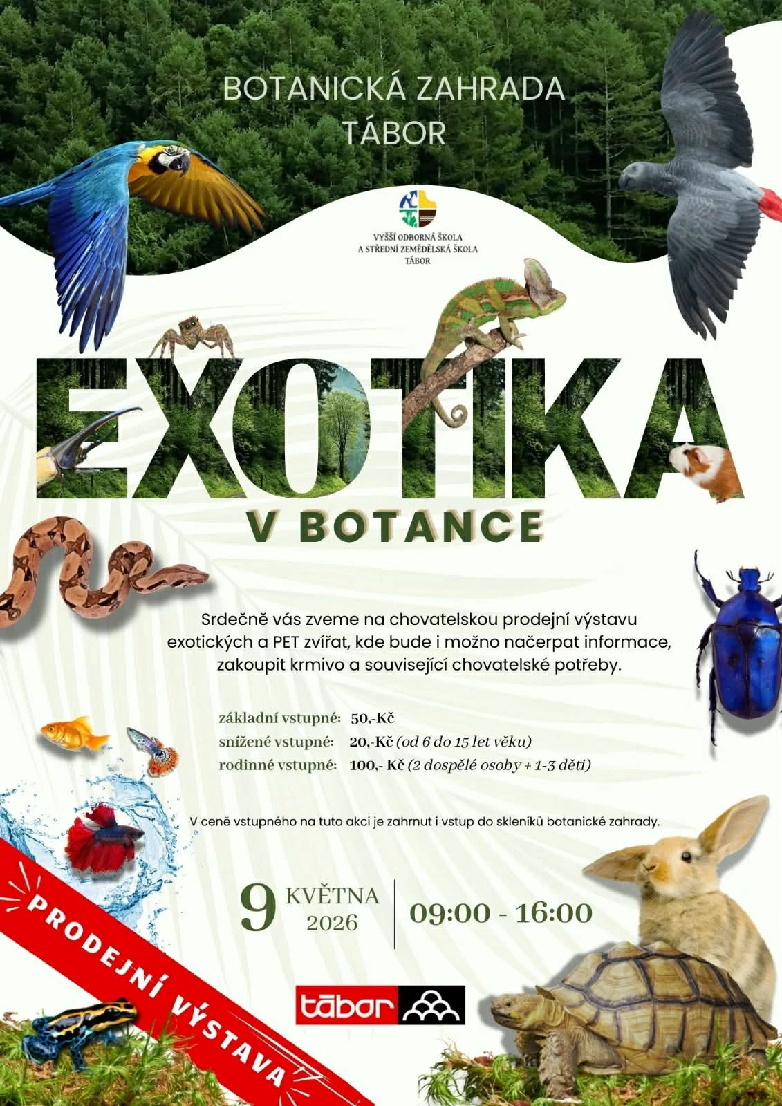 Exotika v botance