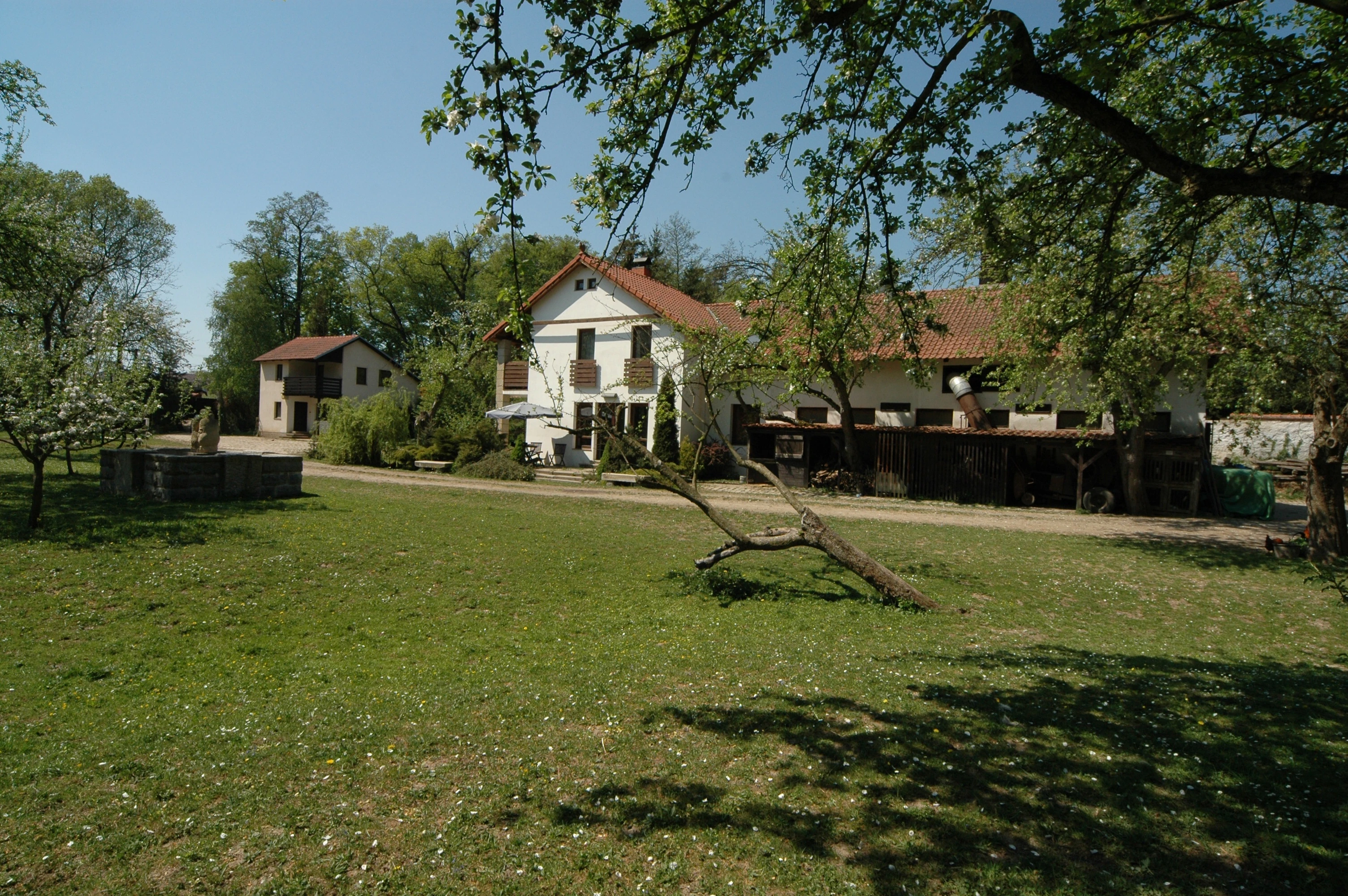 Ošetřovatel, jezdec, podkoní