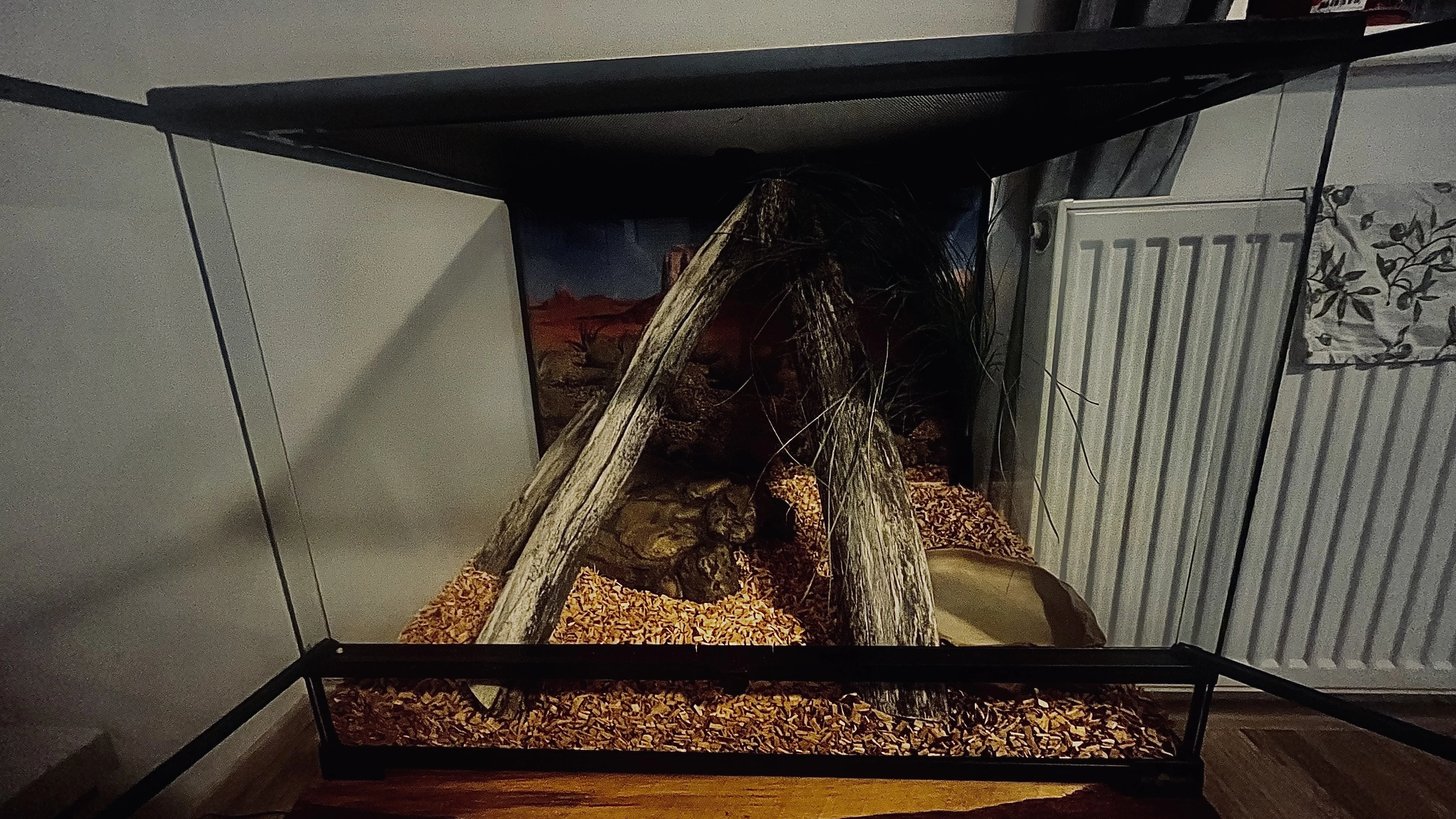 Terarium 60x45x45