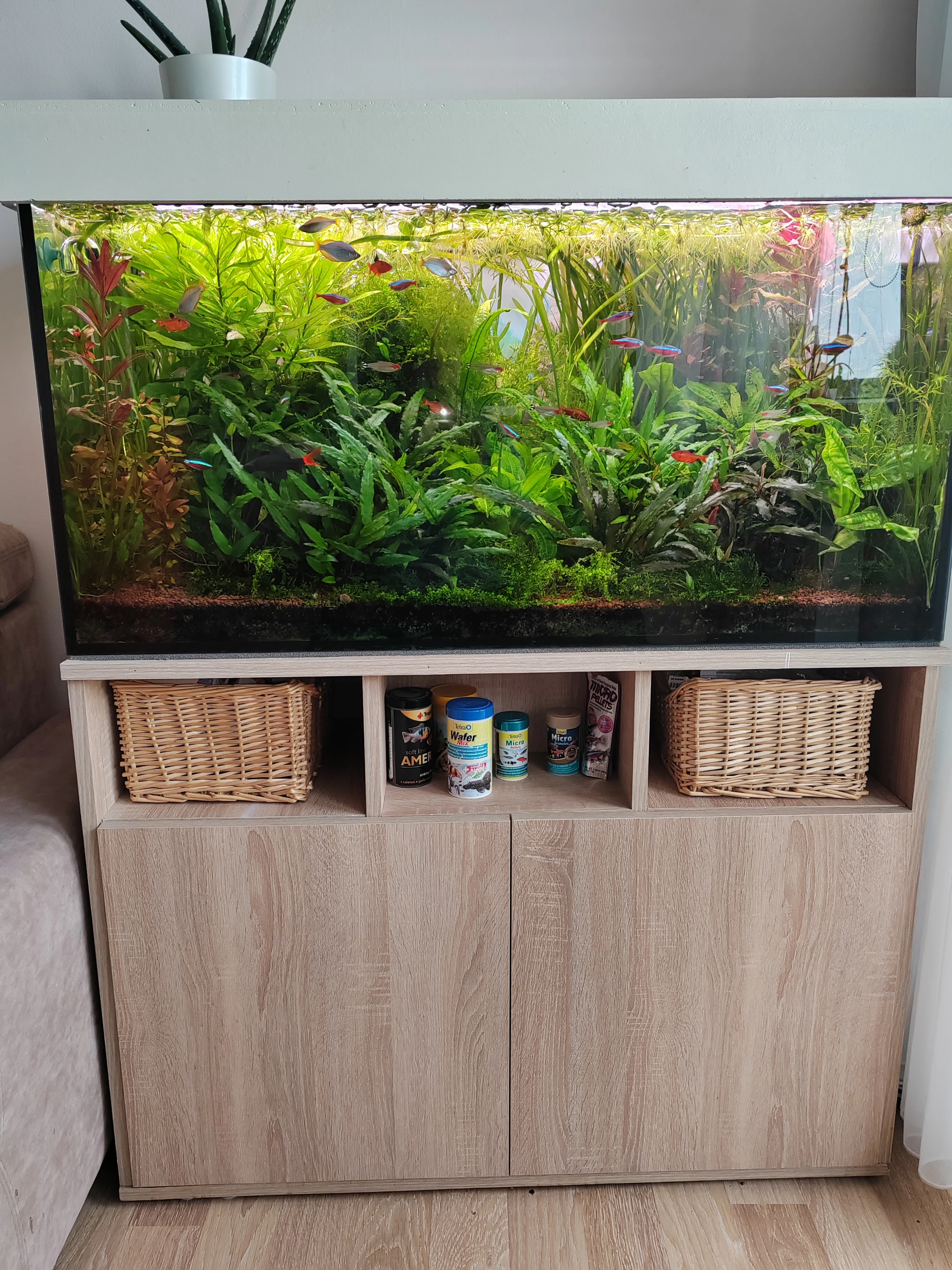 Akvárium 250 l