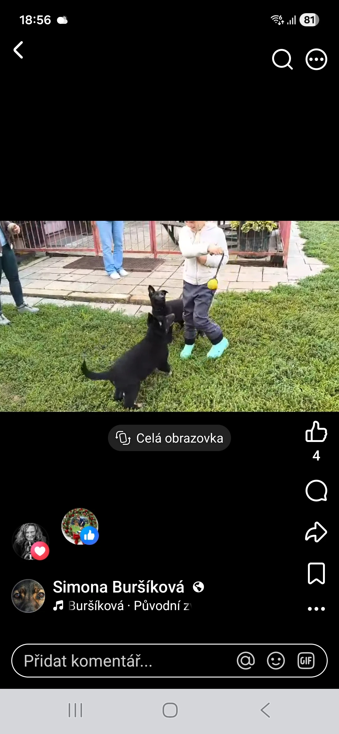 No štěňata s PP