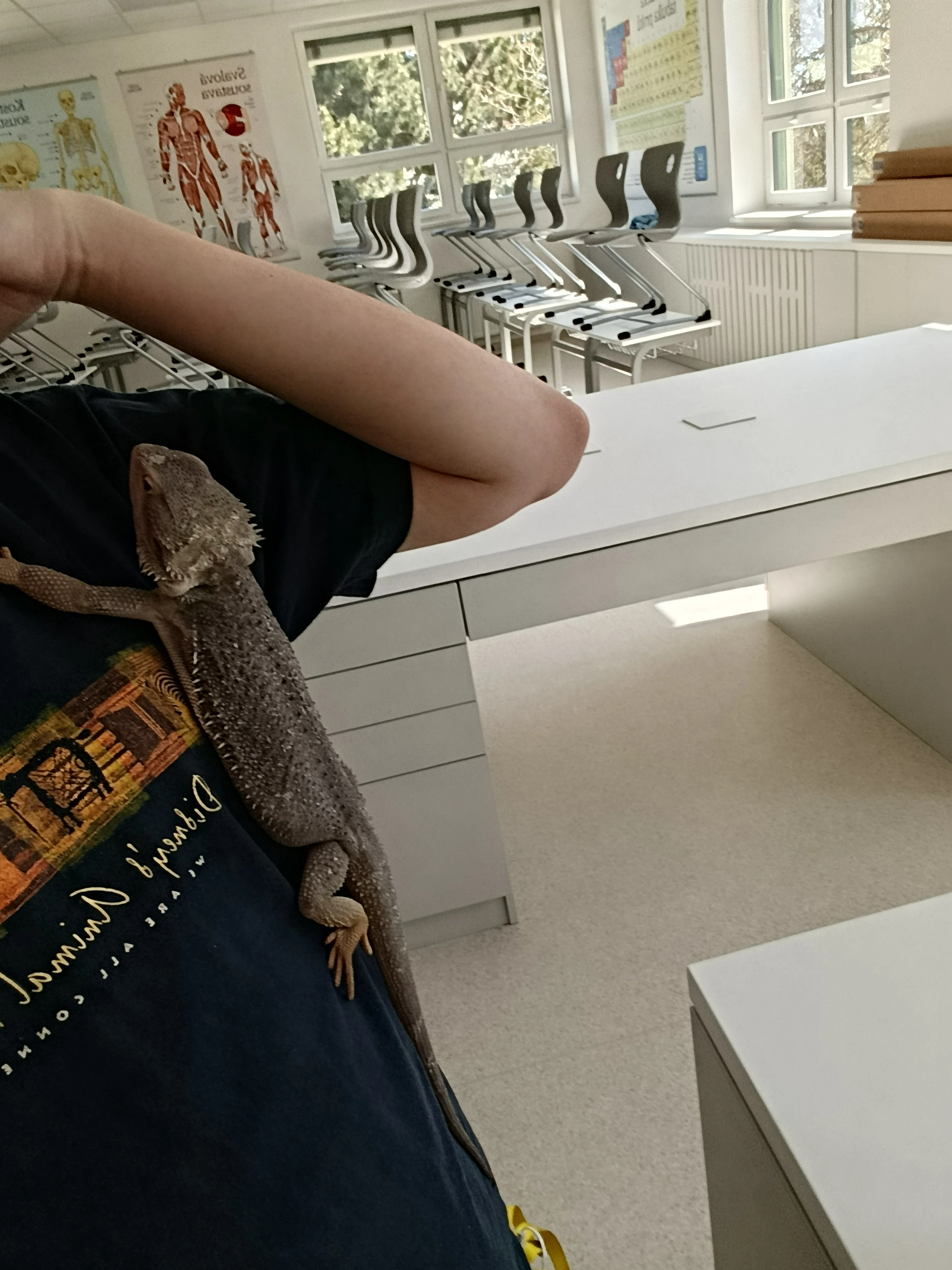 Sháním Terárium na Dočasné Vypůjčení