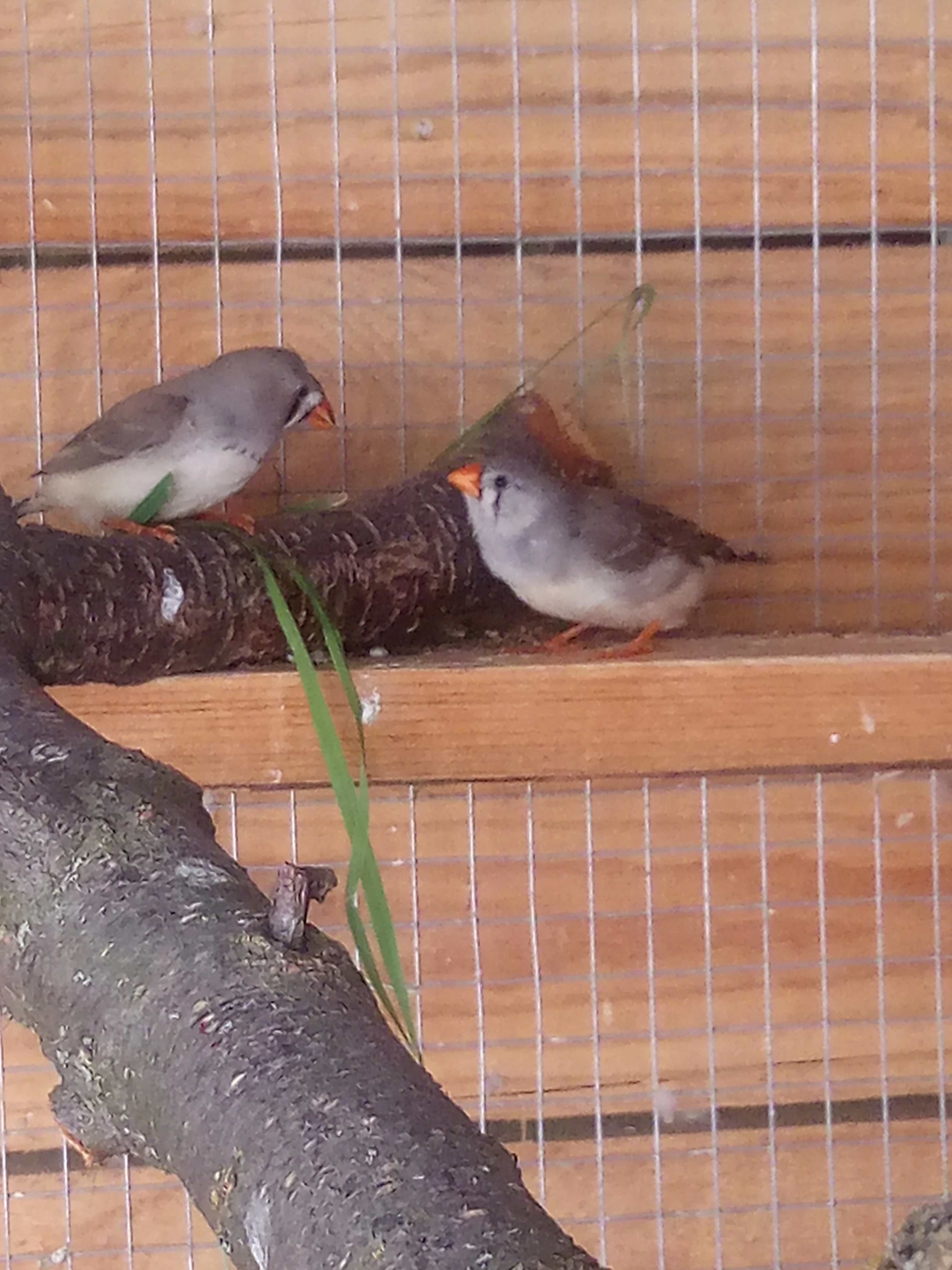 Letošní žebříčky