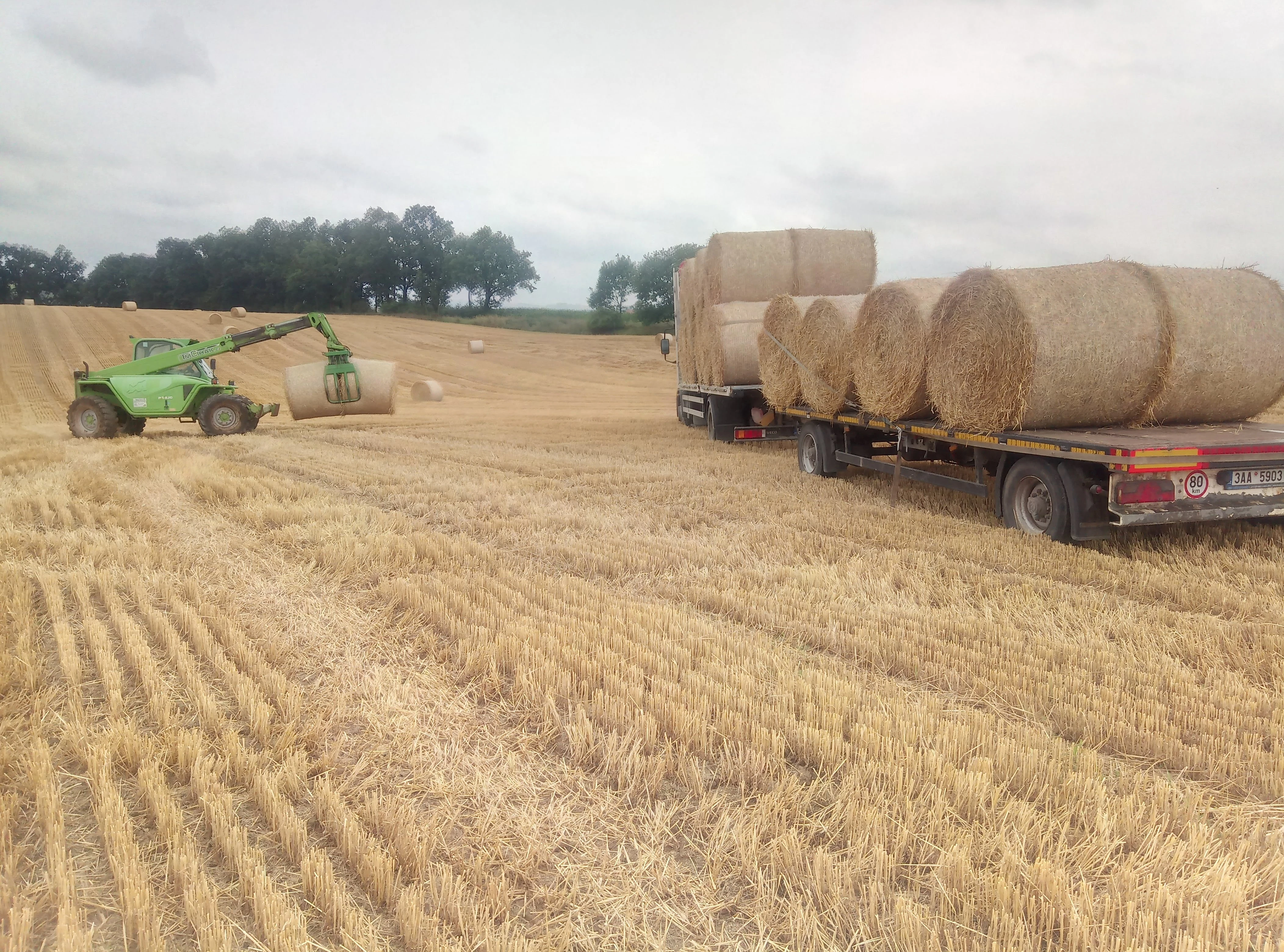 Sláma kulaté balíky malé hranaté balíky