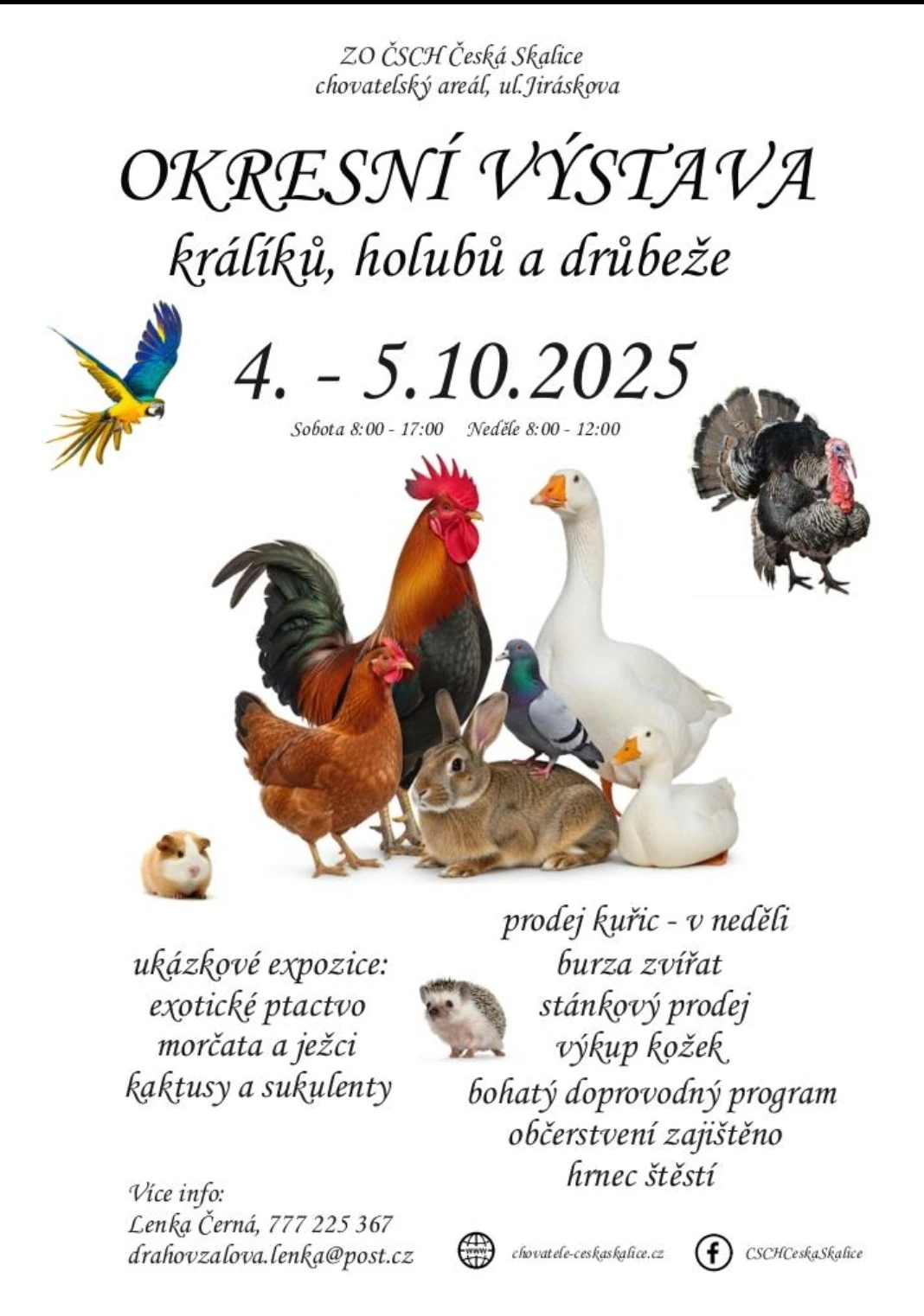 Okresní výstava králíků, holubů a drůbeže 4.-5.10.2025