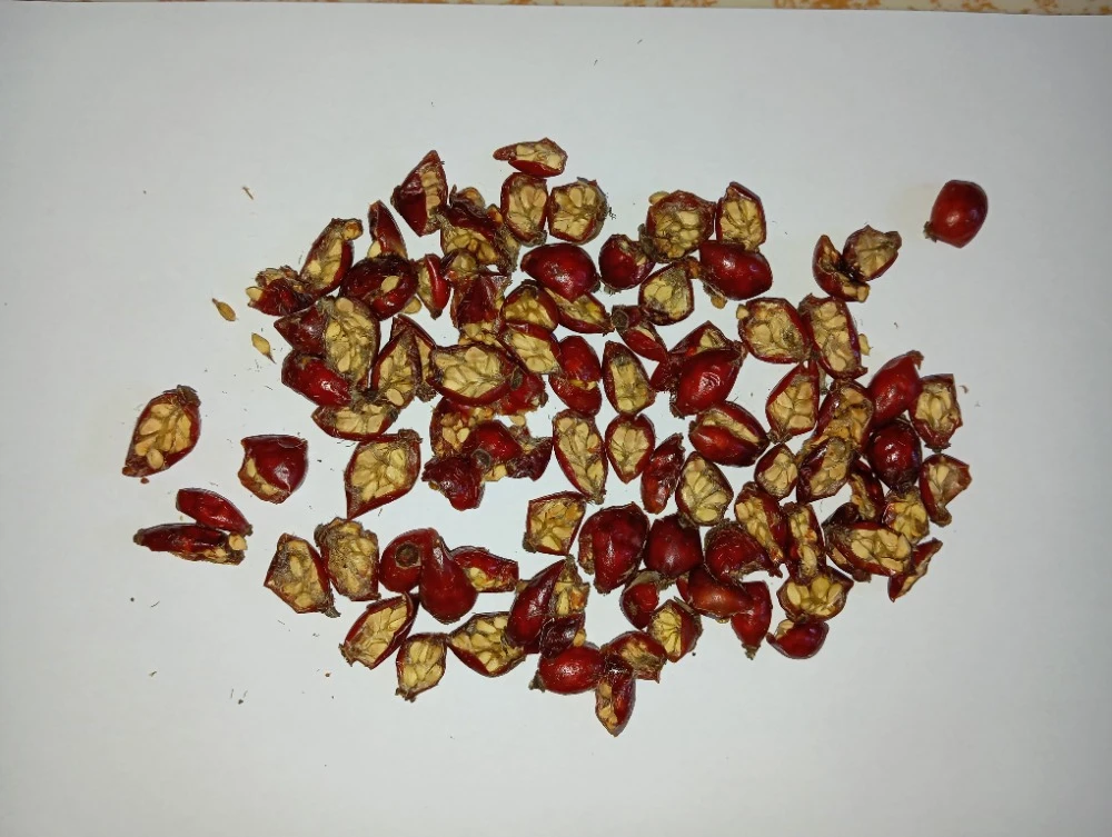 Sušené BIO šípky – půlené, balené v eko papíru