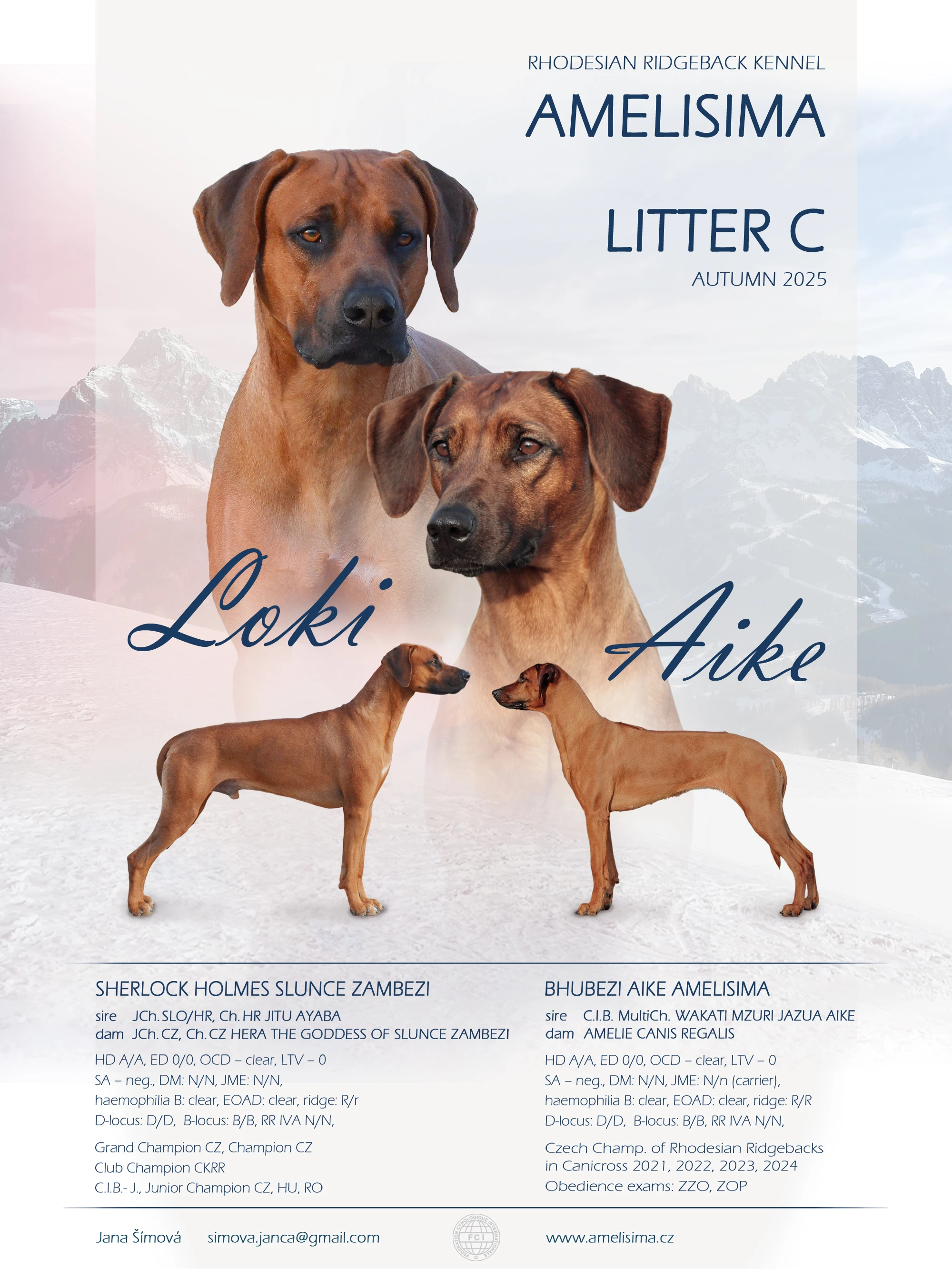 Rhodéský ridgeback s PP