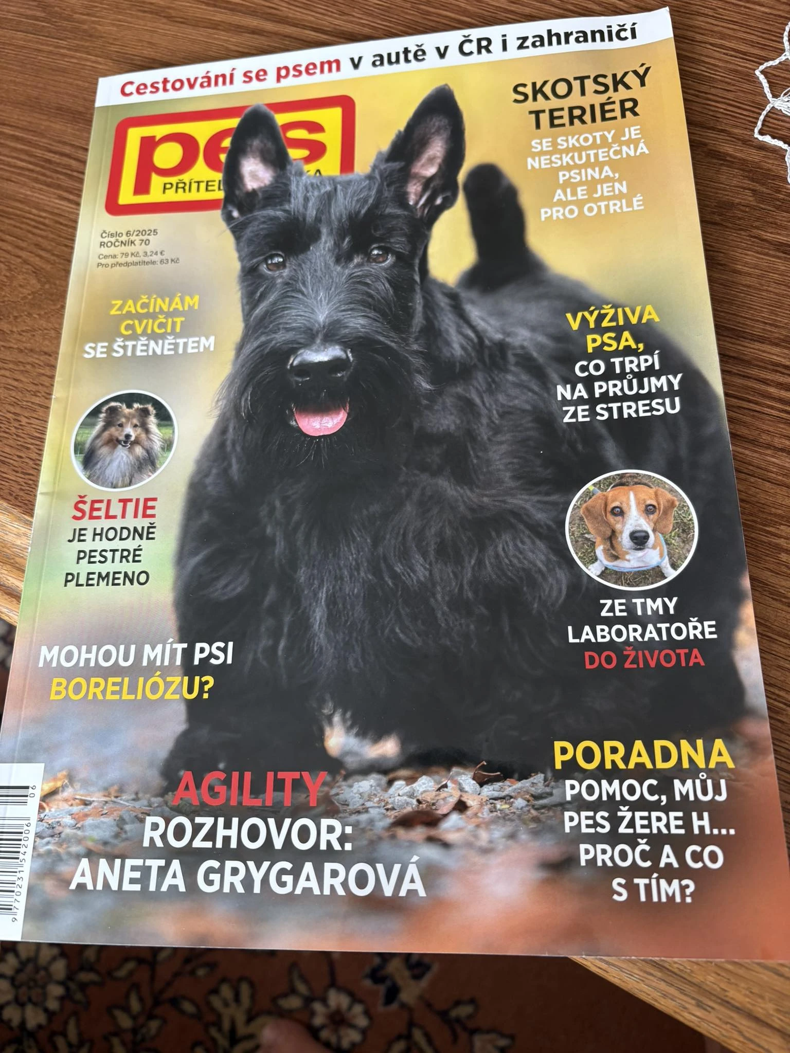 Skotský teriér - Scottish terrier